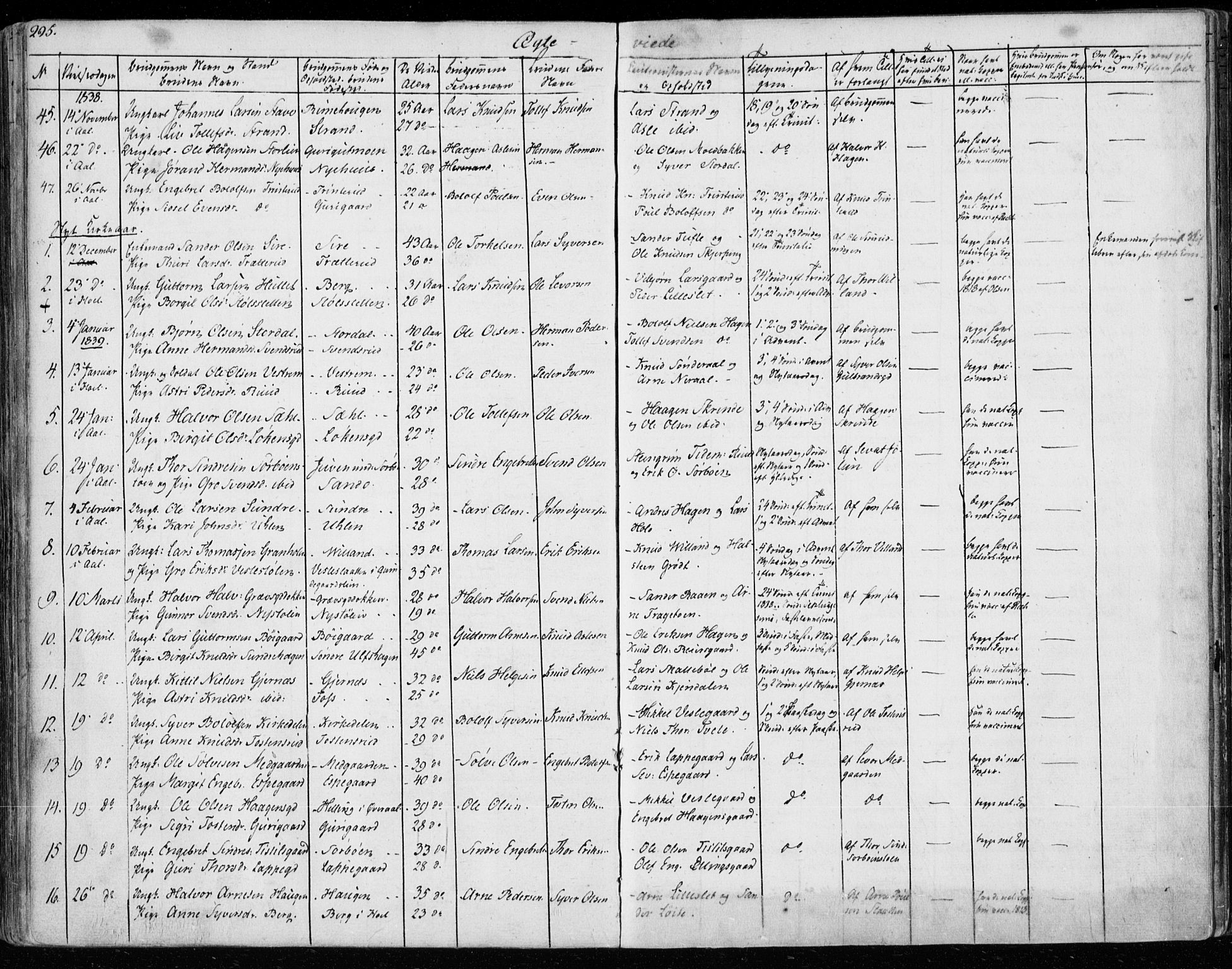 Ål kirkebøker, SAKO/A-249/F/Fa/L0005: Parish register (official) no. I 5, 1825-1848, p. 295