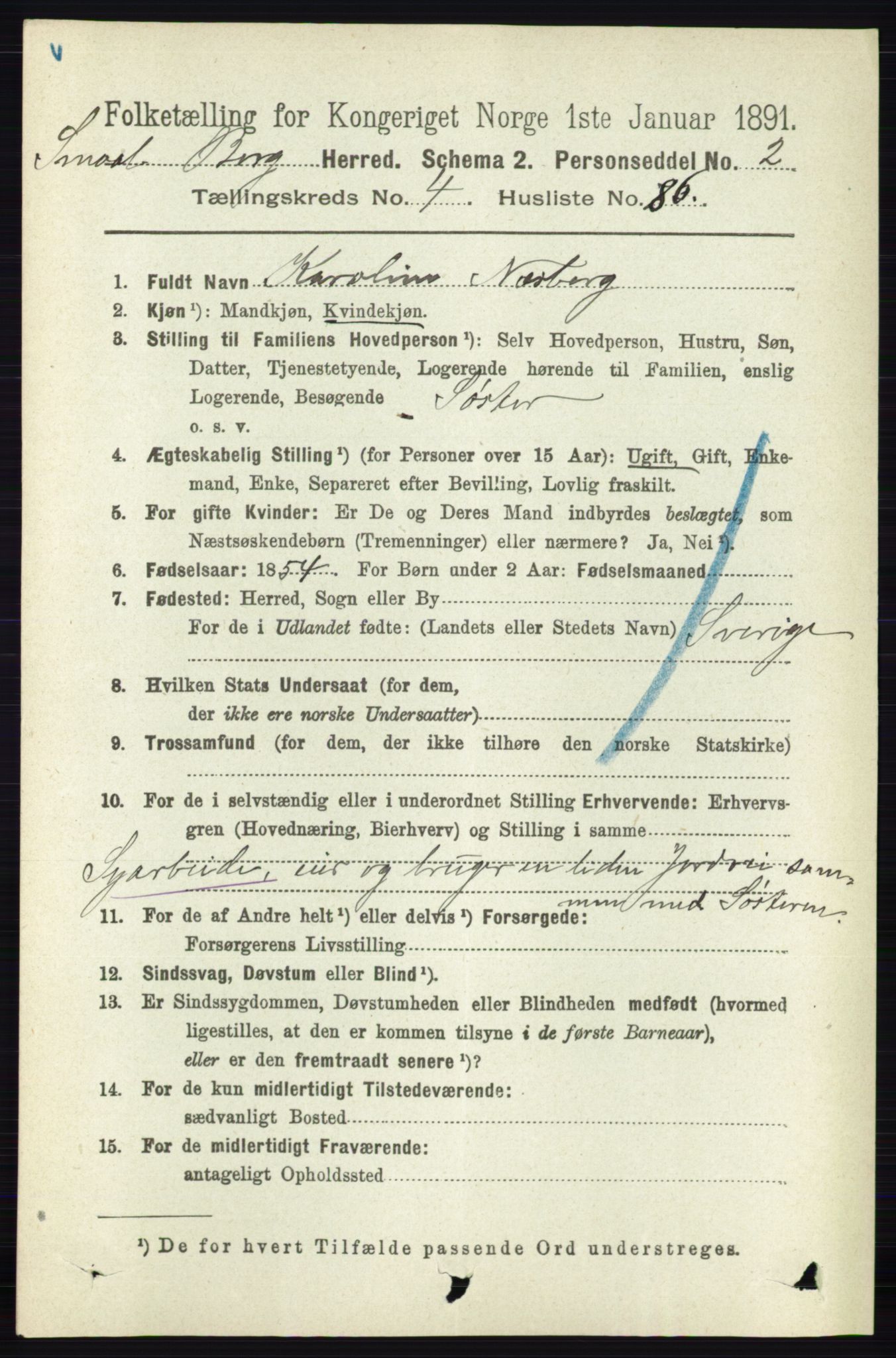 RA, 1891 census for 0116 Berg, 1891, p. 3331
