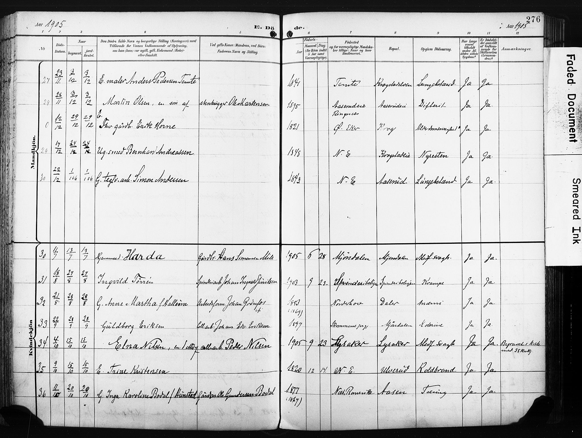 Nedre Eiker kirkebøker, AV/SAKO-A-612/F/Fa/L0005: Parish register (official) no. 5, 1898-1905, p. 276