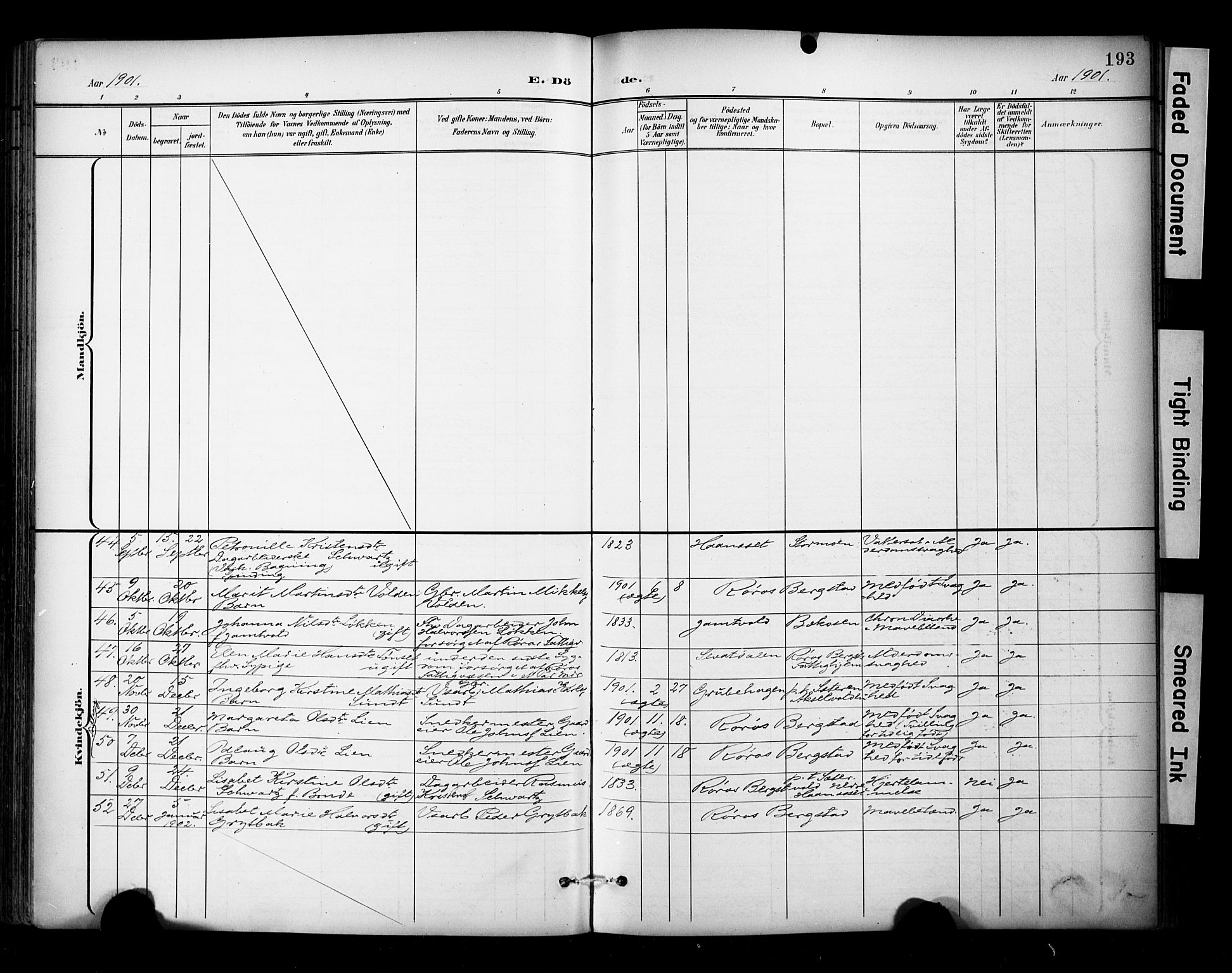 Ministerialprotokoller, klokkerbøker og fødselsregistre - Sør-Trøndelag, SAT/A-1456/681/L0936: Parish register (official) no. 681A14, 1899-1908, p. 193