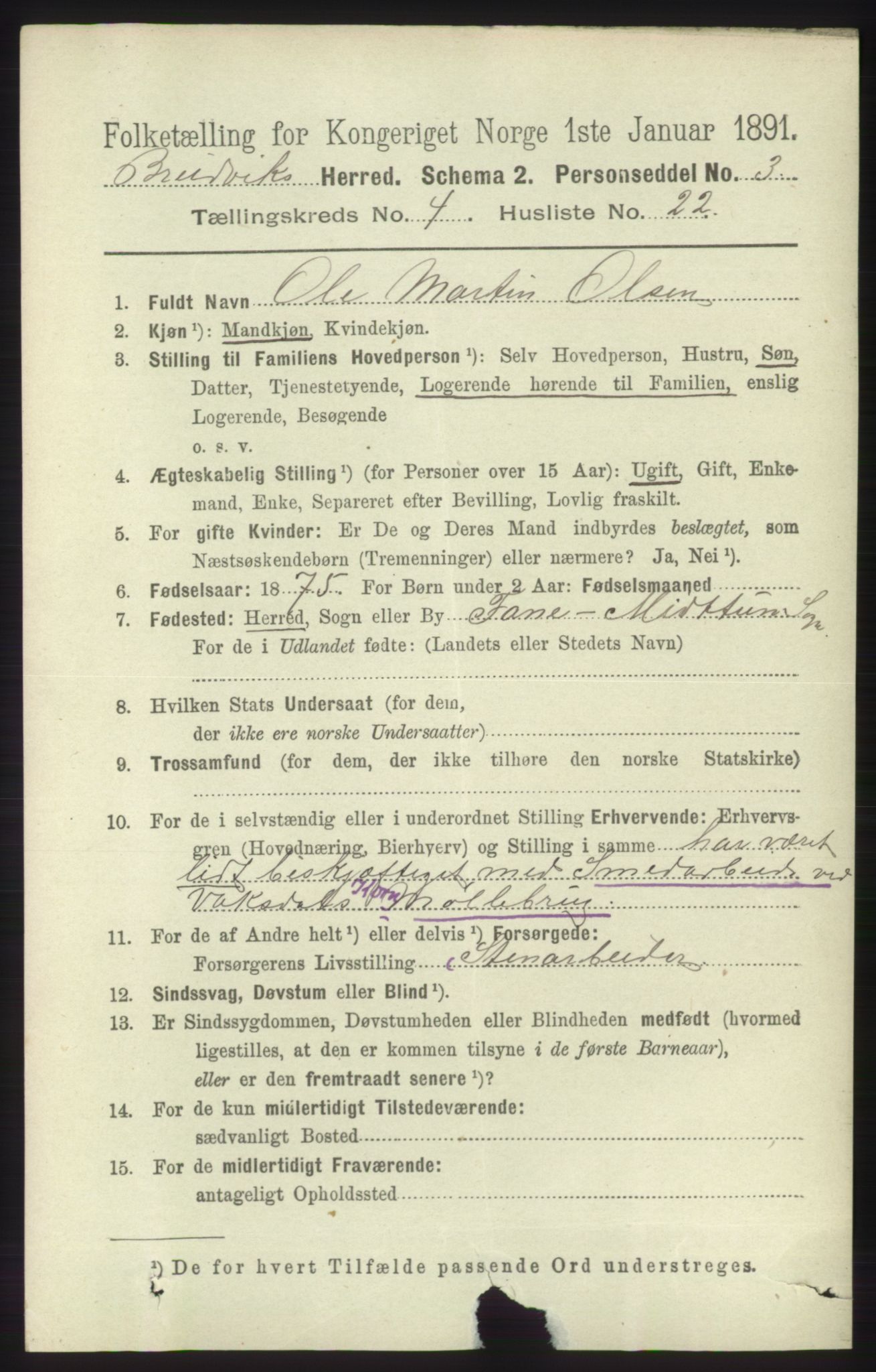 RA, 1891 census for 1251 Bruvik, 1891, p. 1217