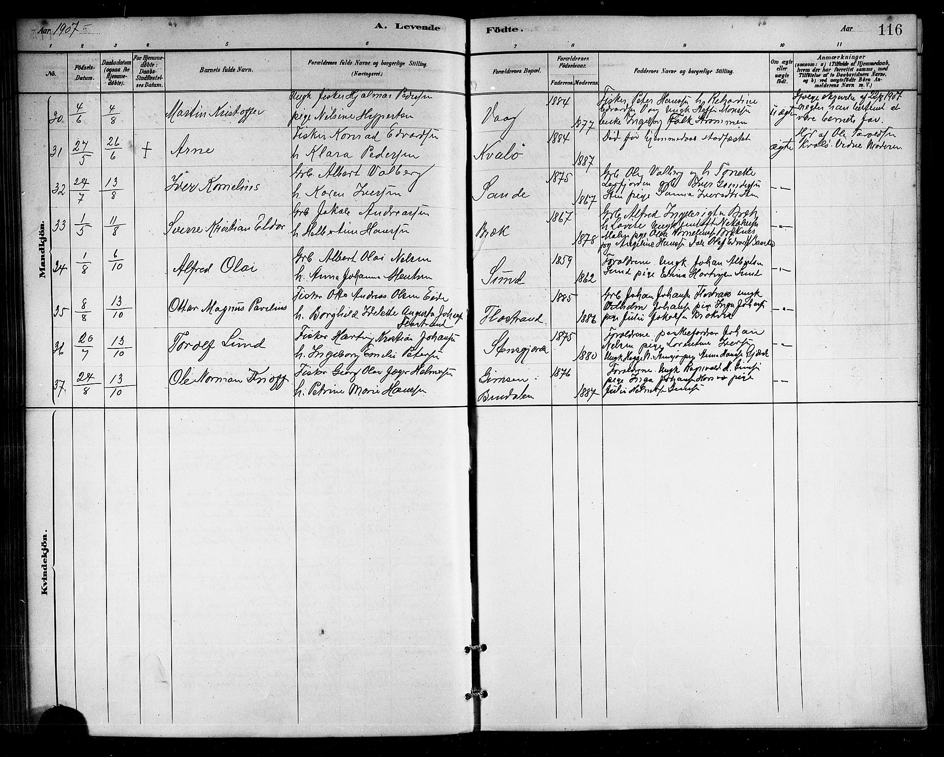 Ministerialprotokoller, klokkerbøker og fødselsregistre - Nordland, SAT/A-1459/812/L0188: Parish register (copy) no. 812C06, 1884-1912, p. 116