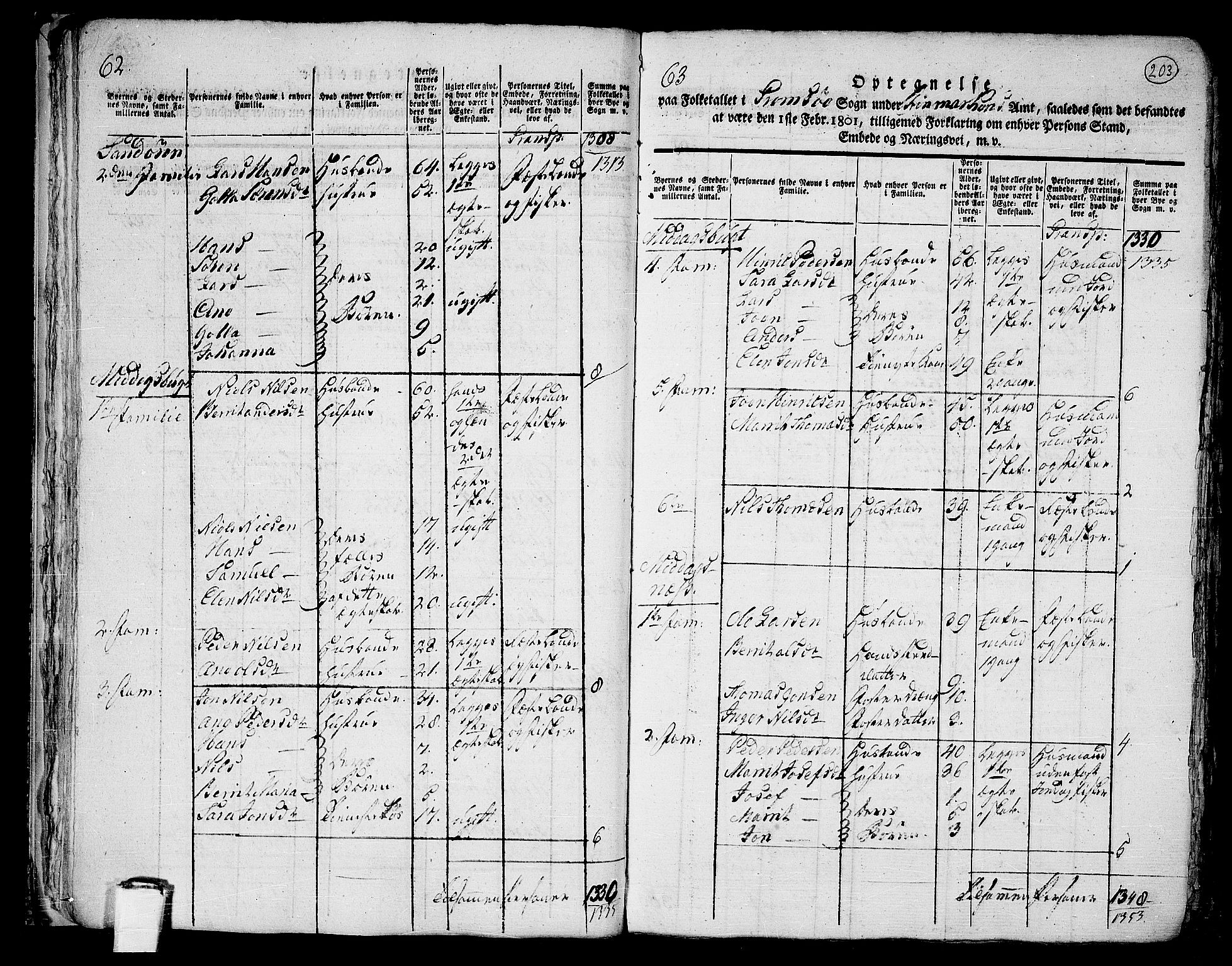 RA, 1801 census for 1902P Tromsø, 1801, p. 202b-203a