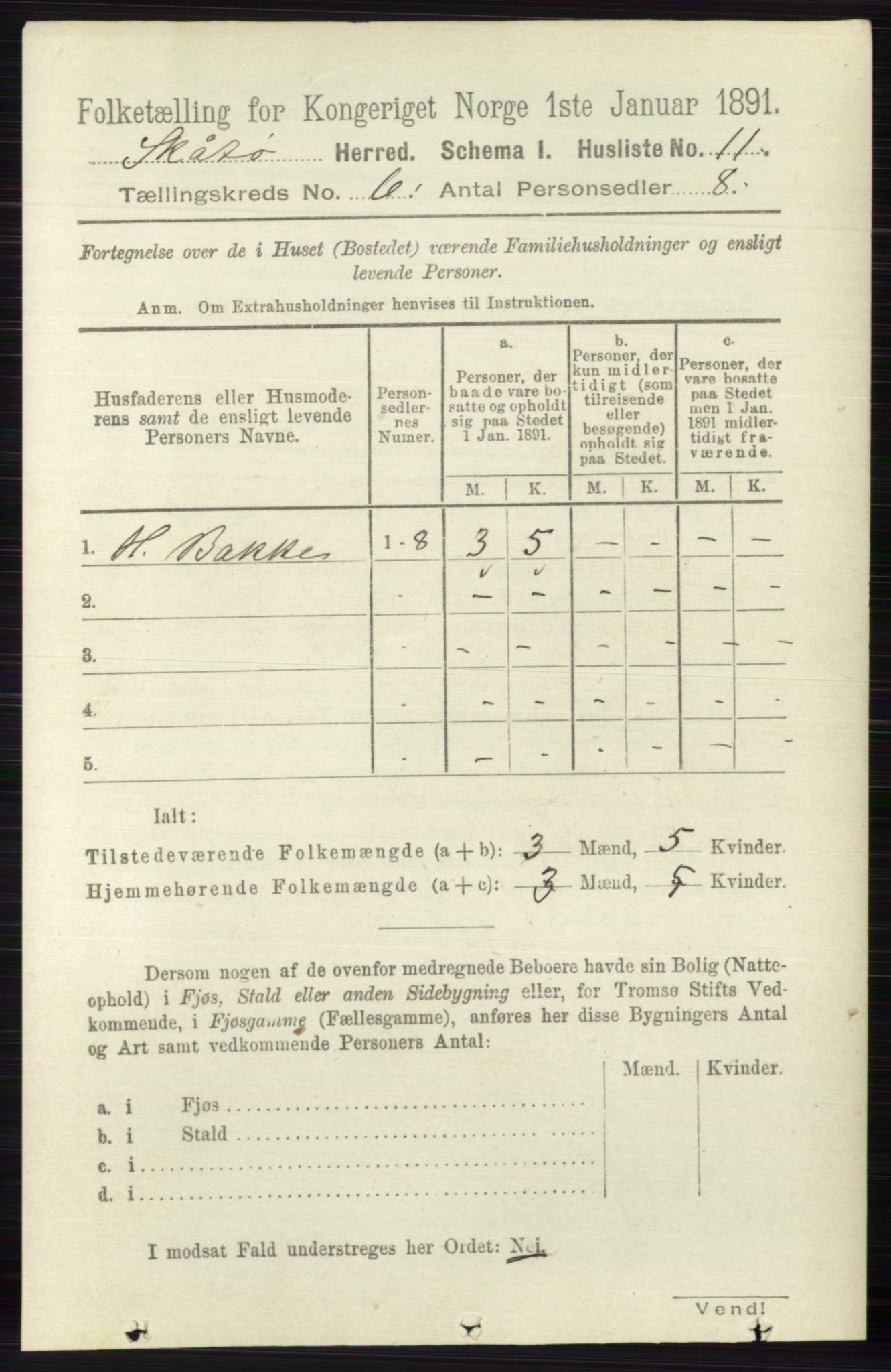 RA, 1891 census for 0815 Skåtøy, 1891, p. 2890