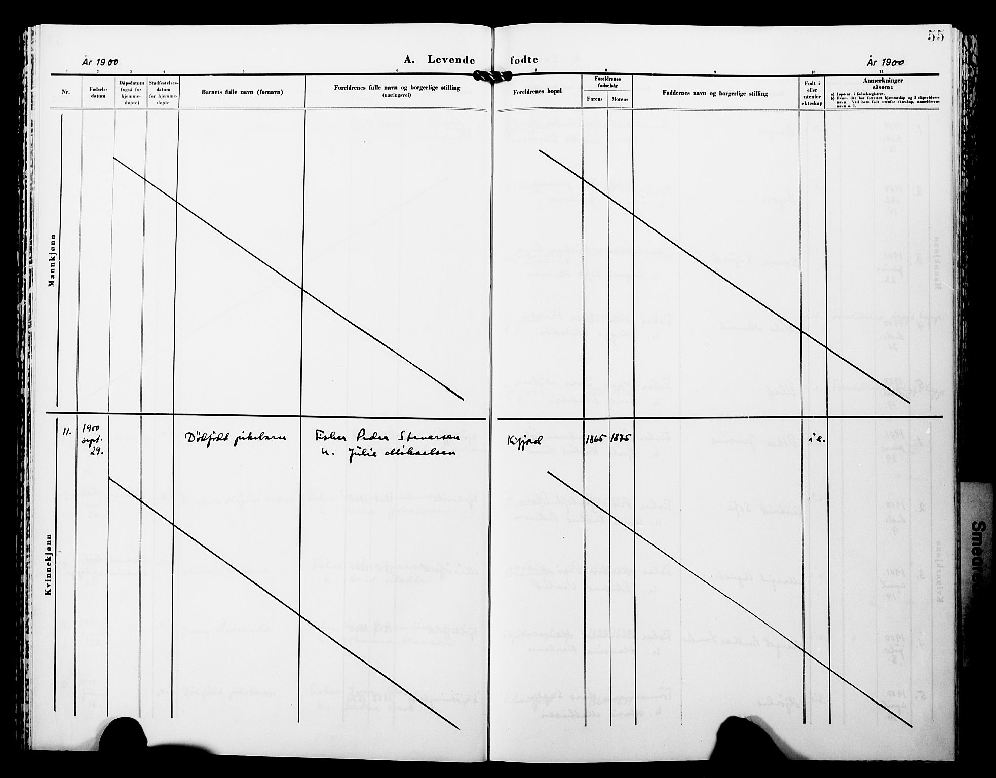 Lebesby sokneprestkontor, AV/SATØ-S-1353/H/Ha/L0005kirke: Parish register (official) no. 5, 1870-1902, p. 55