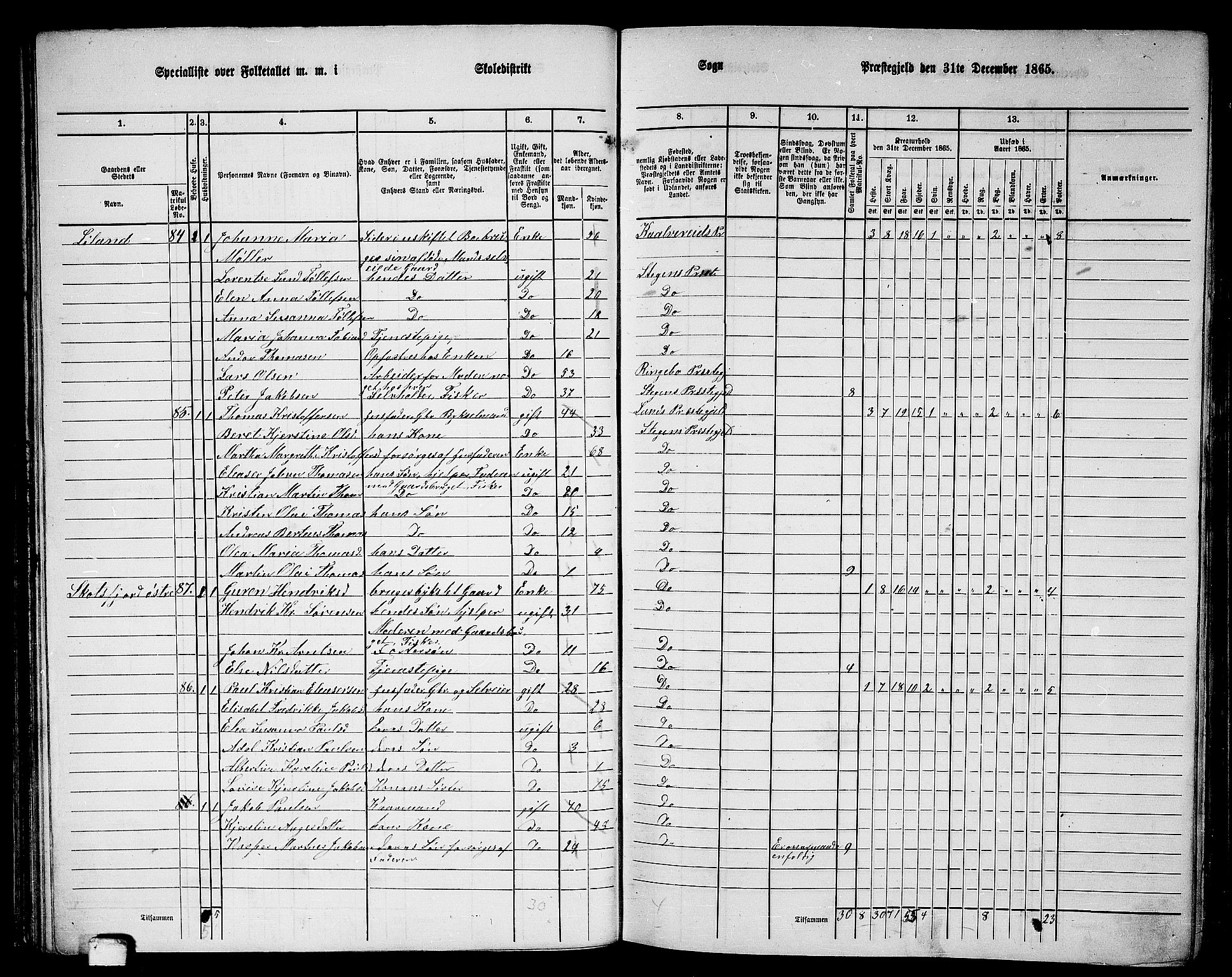 RA, 1865 census for Steigen, 1865, p. 44