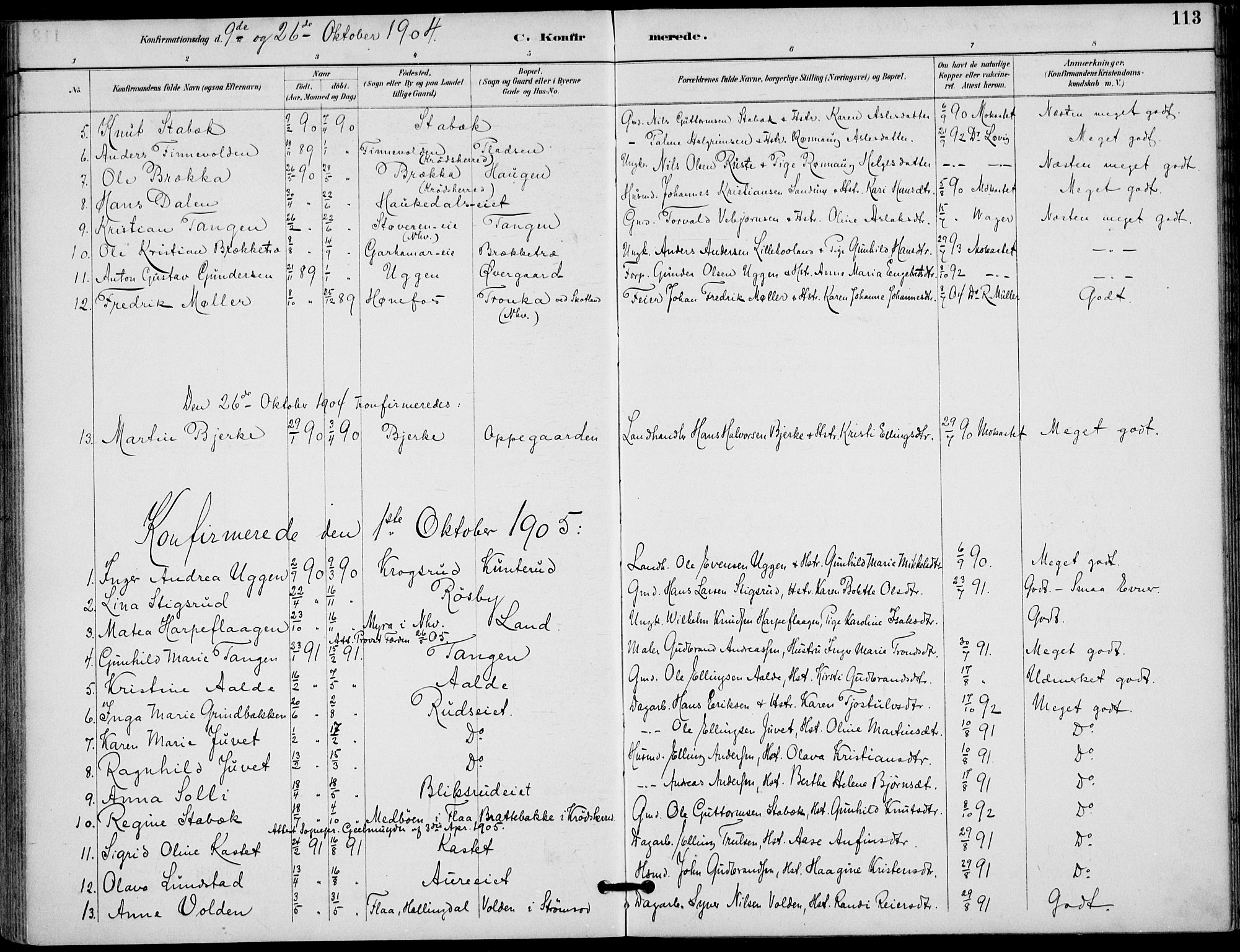 Lunder kirkebøker, AV/SAKO-A-629/F/Fa/L0001: Parish register (official) no. I 1, 1885-1912, p. 113