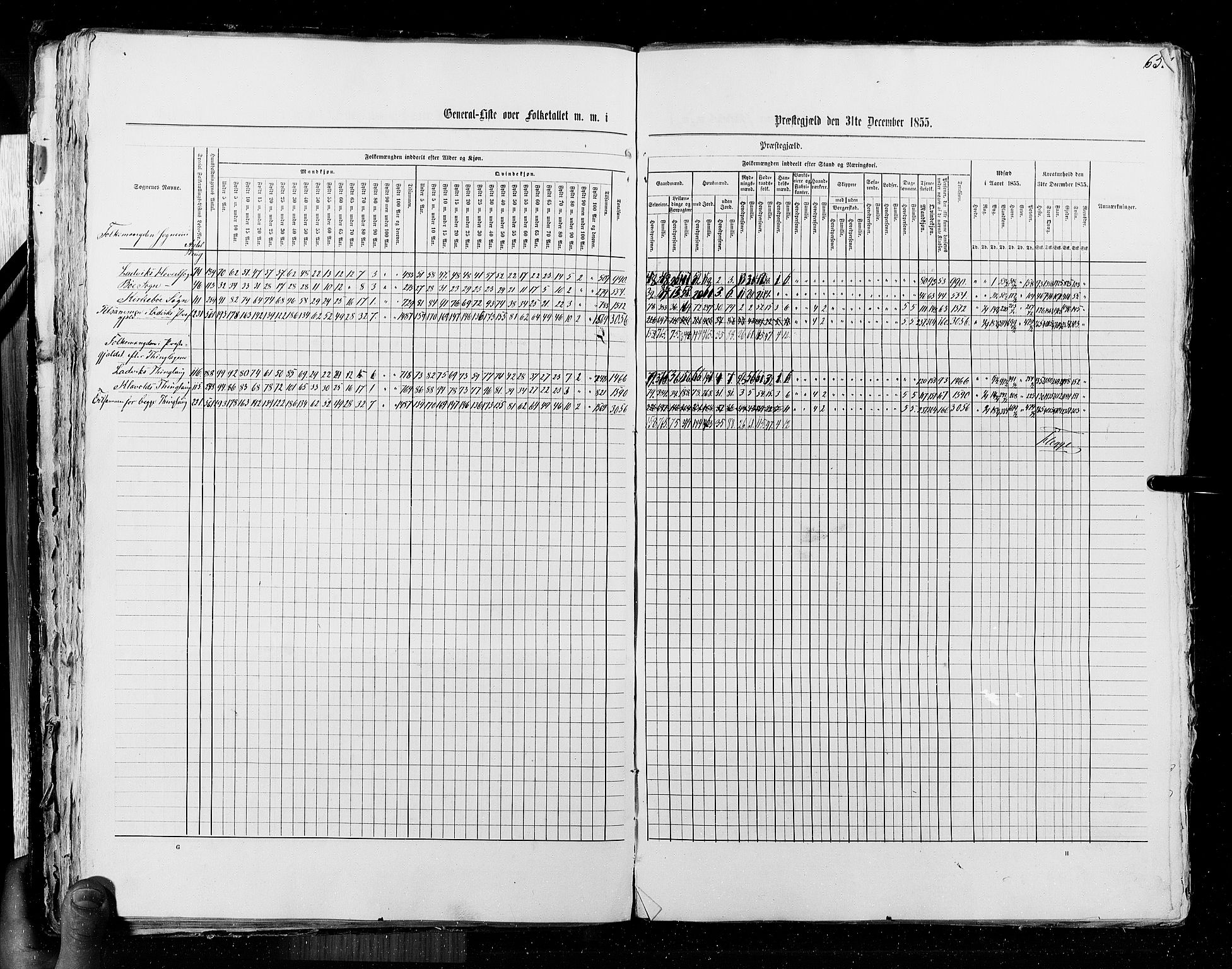 RA, Census 1855, vol. 5: Nordre Bergenhus amt, Romsdal amt og Søndre Trondhjem amt, 1855, p. 65