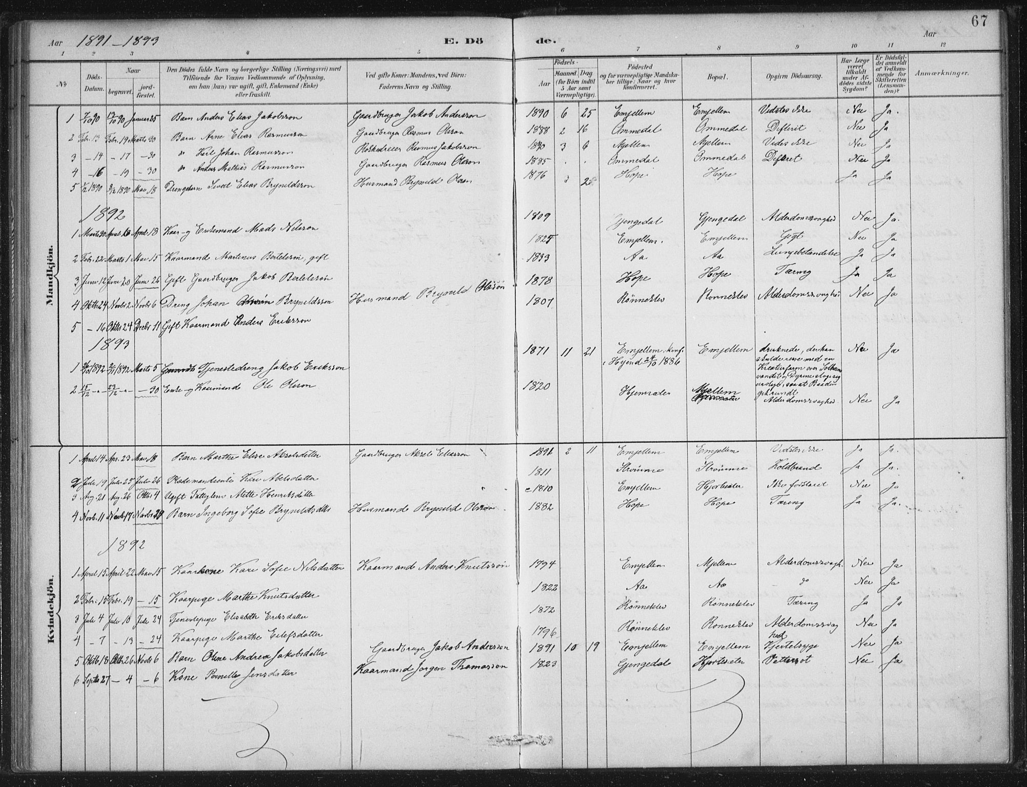 Gloppen sokneprestembete, SAB/A-80101/H/Haa/Haae/L0001: Parish register (official) no. E  1, 1885-1904, p. 67