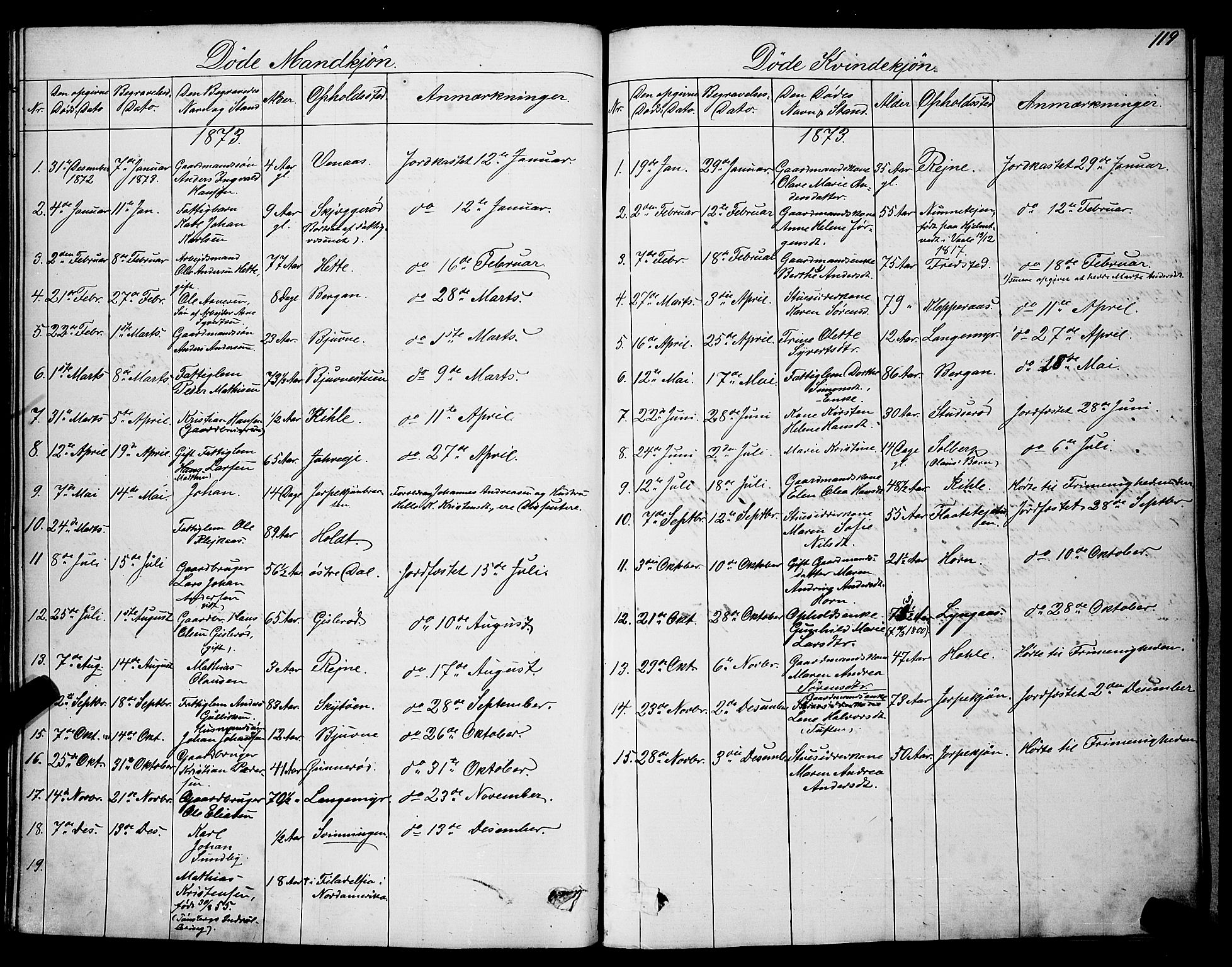 Ramnes kirkebøker, SAKO/A-314/G/Ga/L0003: Parish register (copy) no. I 3, 1870-1896, p. 119
