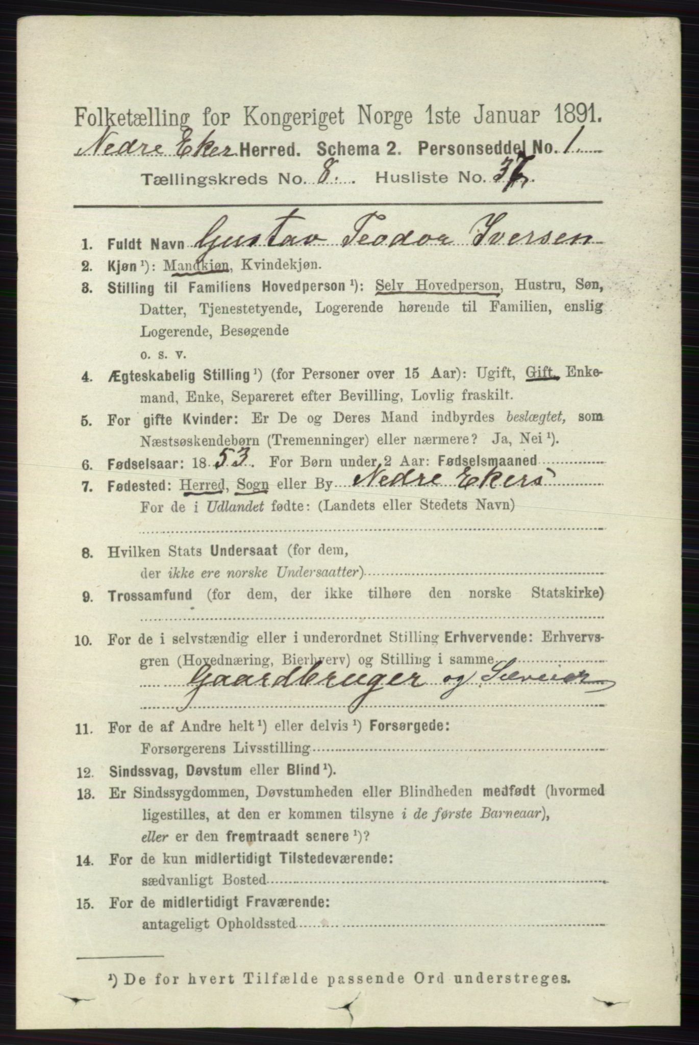 RA, 1891 census for 0625 Nedre Eiker, 1891, p. 4178