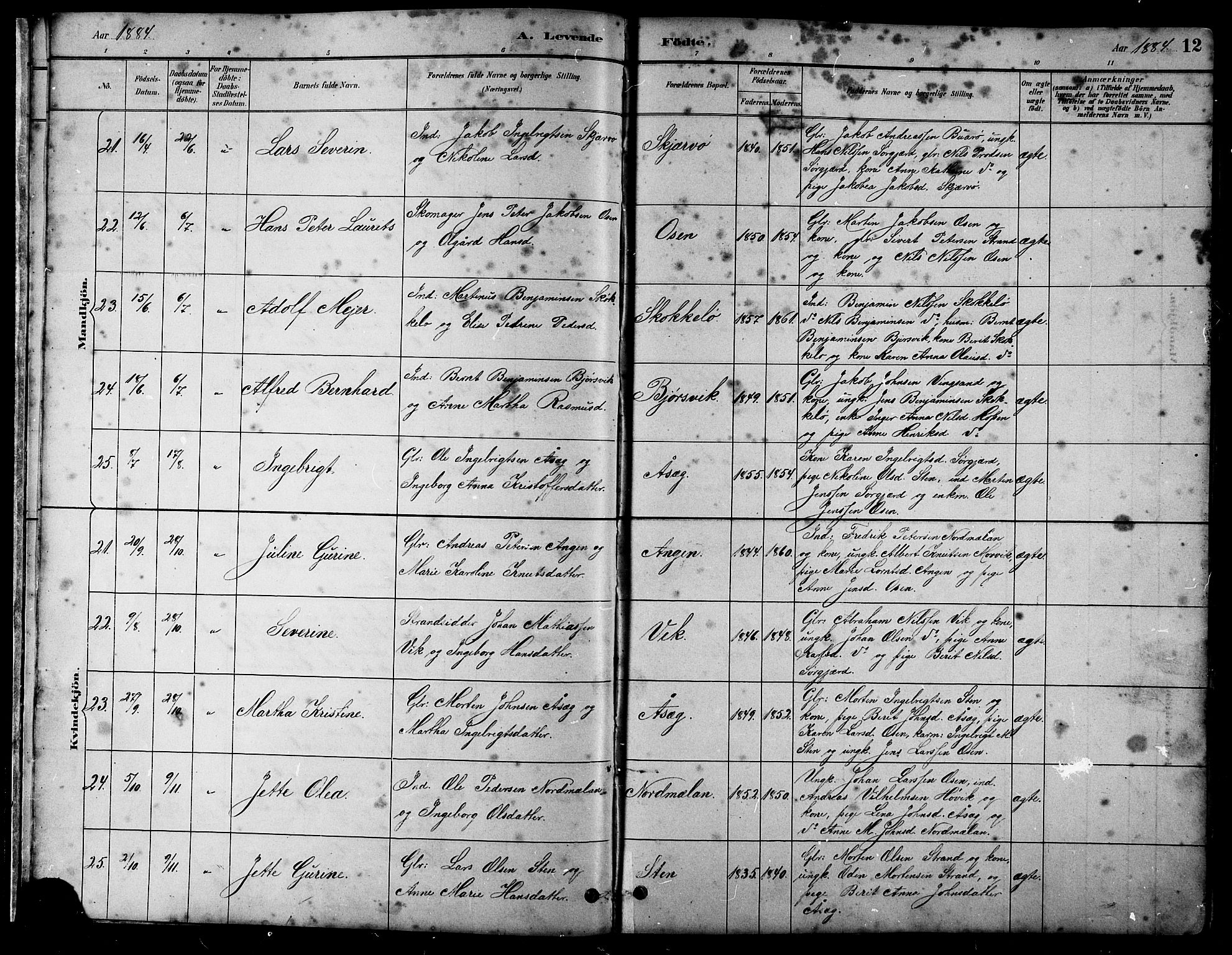 Ministerialprotokoller, klokkerbøker og fødselsregistre - Sør-Trøndelag, AV/SAT-A-1456/658/L0726: Parish register (copy) no. 658C02, 1883-1908, p. 12