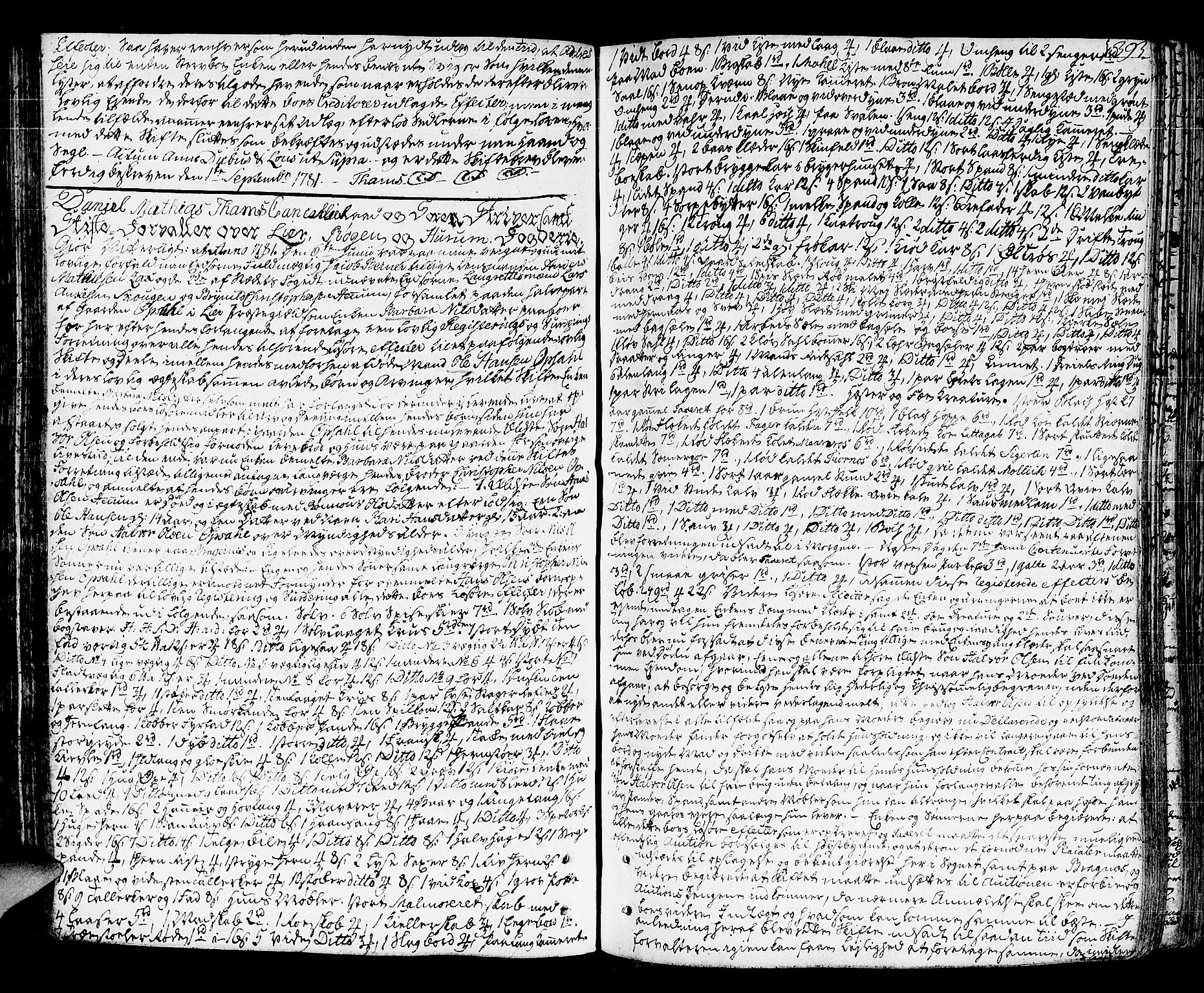 Lier, Røyken og Hurum sorenskriveri, AV/SAKO-A-89/H/Hc/L0006: Skifteprotokoll, 1773-1789, p. 392b-393a