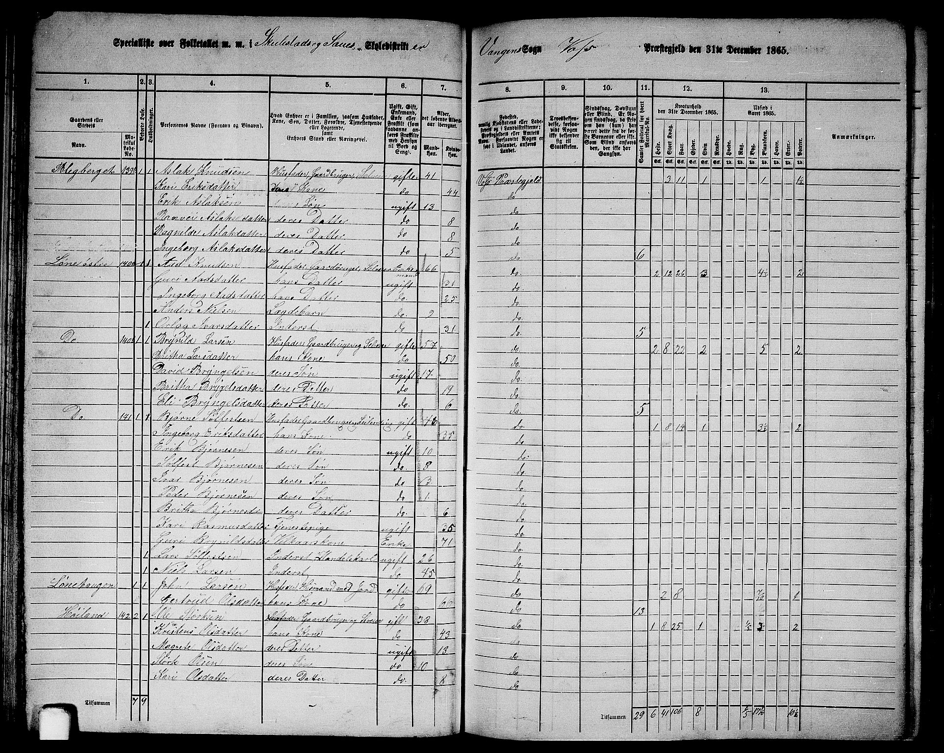 RA, 1865 census for Voss, 1865, p. 80