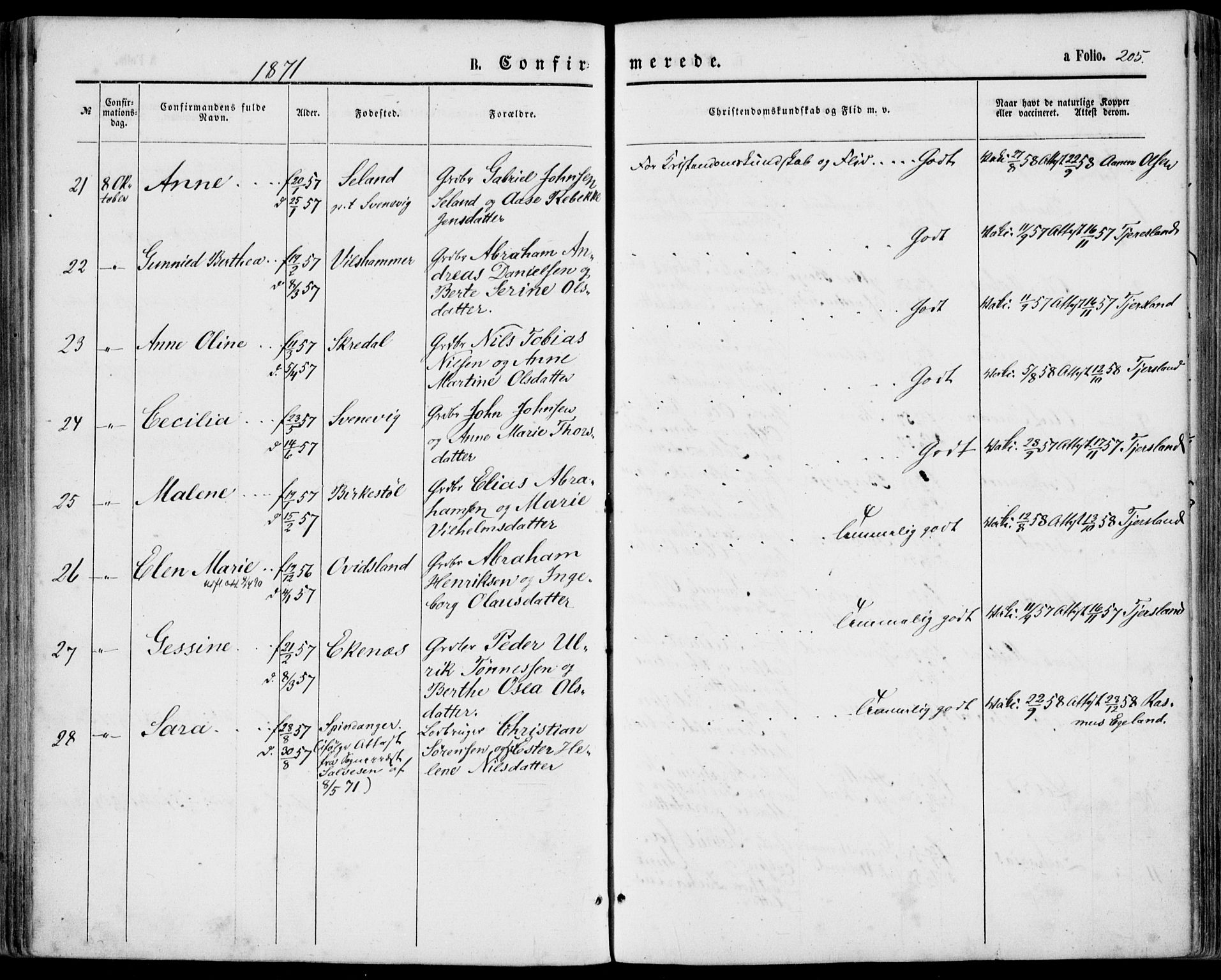 Lyngdal sokneprestkontor, SAK/1111-0029/F/Fa/Fac/L0010: Parish register (official) no. A 10, 1865-1878, p. 205