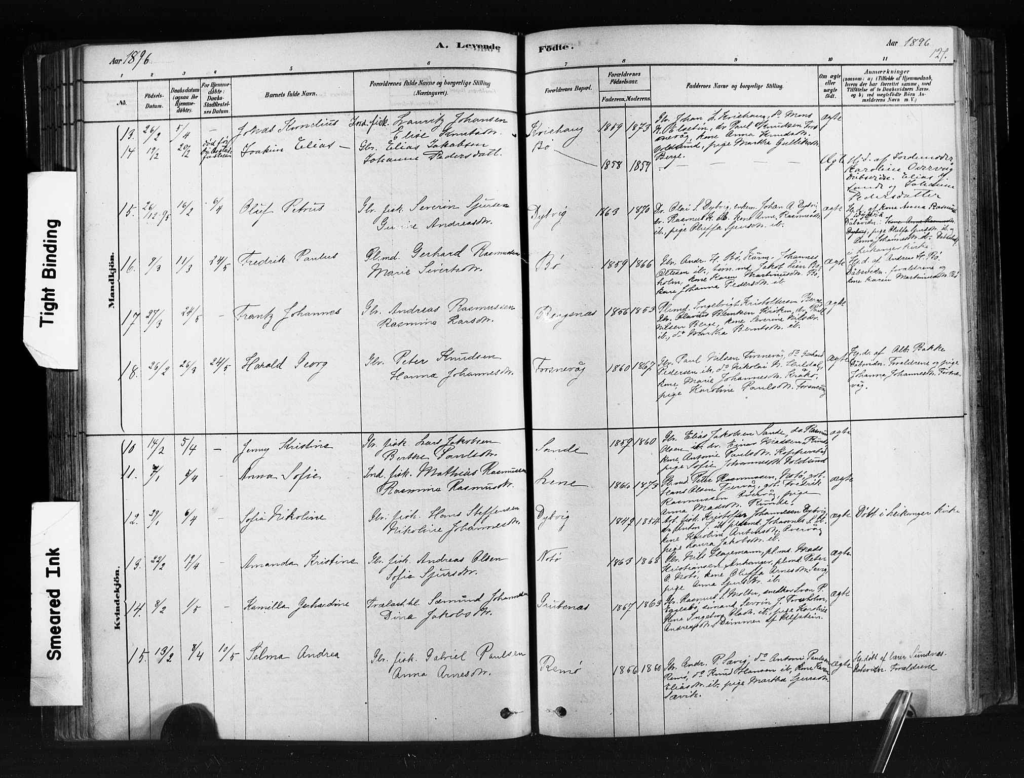 Ministerialprotokoller, klokkerbøker og fødselsregistre - Møre og Romsdal, AV/SAT-A-1454/507/L0073: Parish register (official) no. 507A08, 1878-1904, p. 127