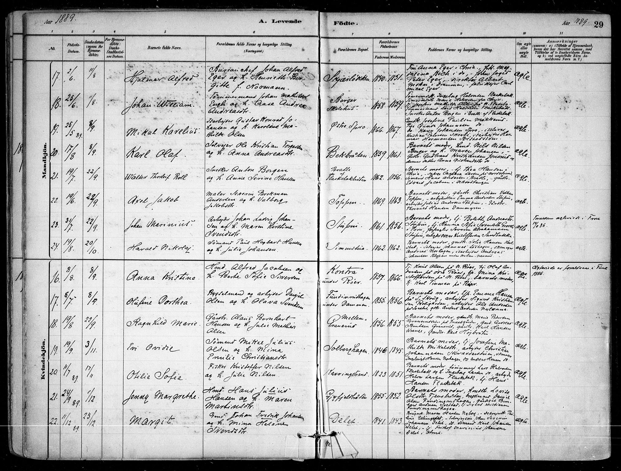Nesodden prestekontor Kirkebøker, AV/SAO-A-10013/F/Fa/L0009: Parish register (official) no. I 9, 1880-1915, p. 29