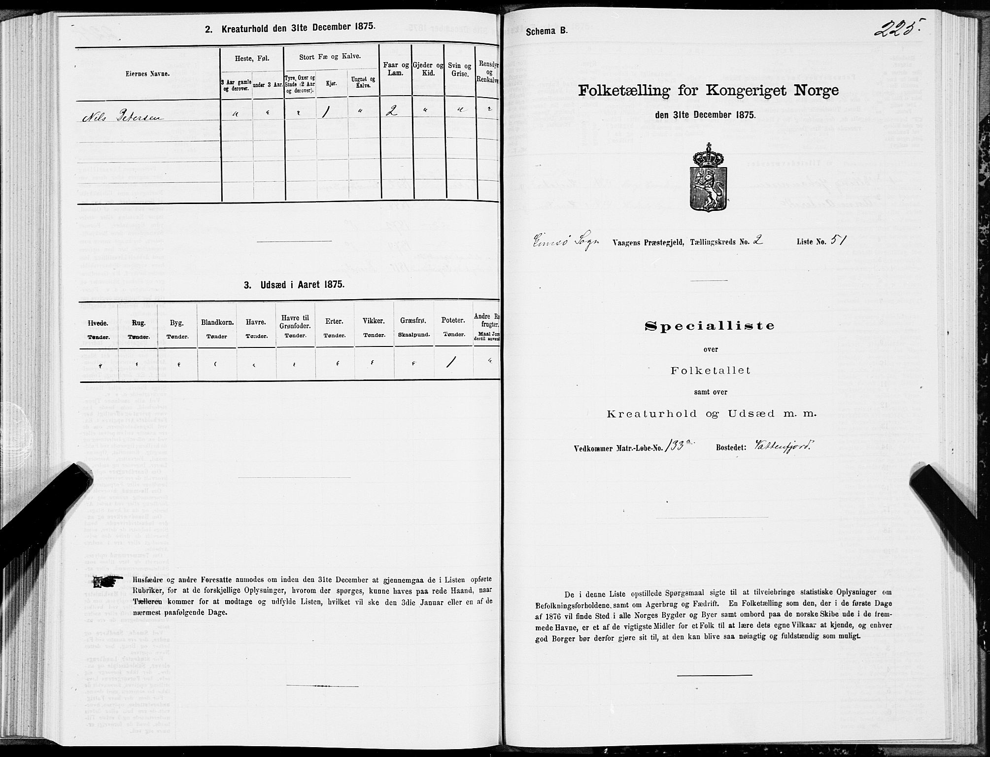 SAT, 1875 census for 1865P Vågan, 1875, p. 5225