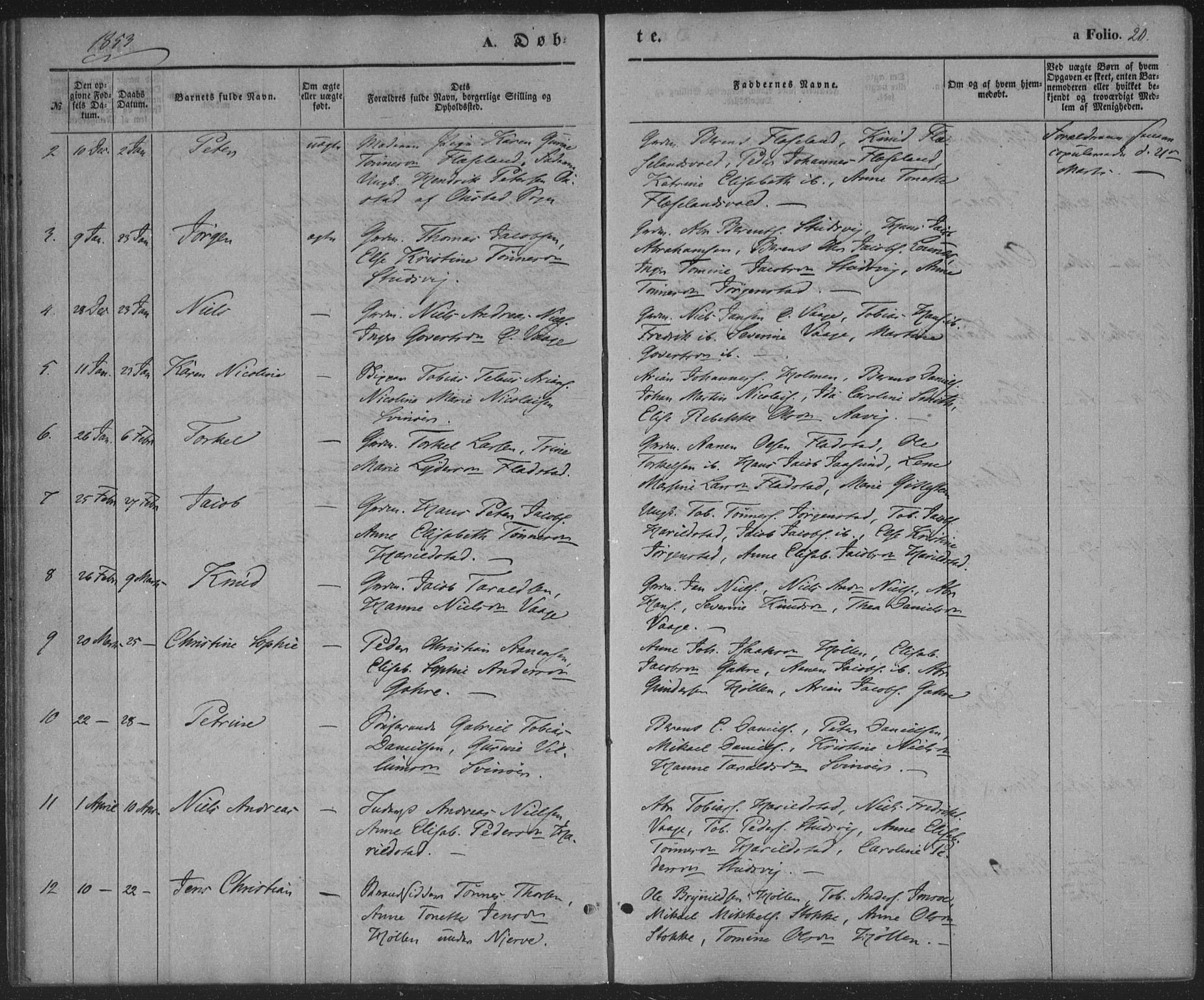 Sør-Audnedal sokneprestkontor, AV/SAK-1111-0039/F/Fa/Faa/L0002: Parish register (official) no. A 2, 1848-1867, p. 20