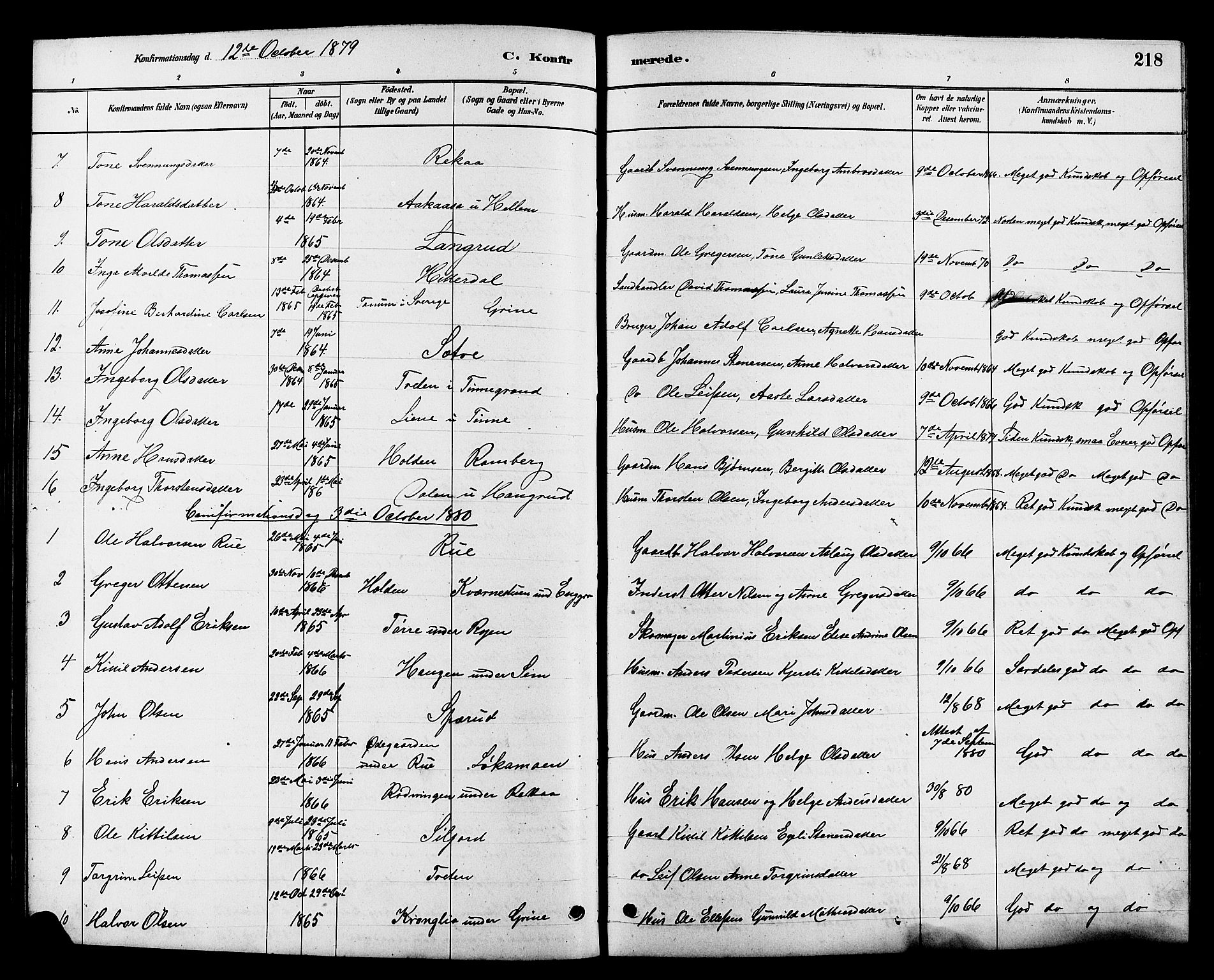 Heddal kirkebøker, AV/SAKO-A-268/G/Ga/L0002: Parish register (copy) no. I 2, 1879-1908, p. 218