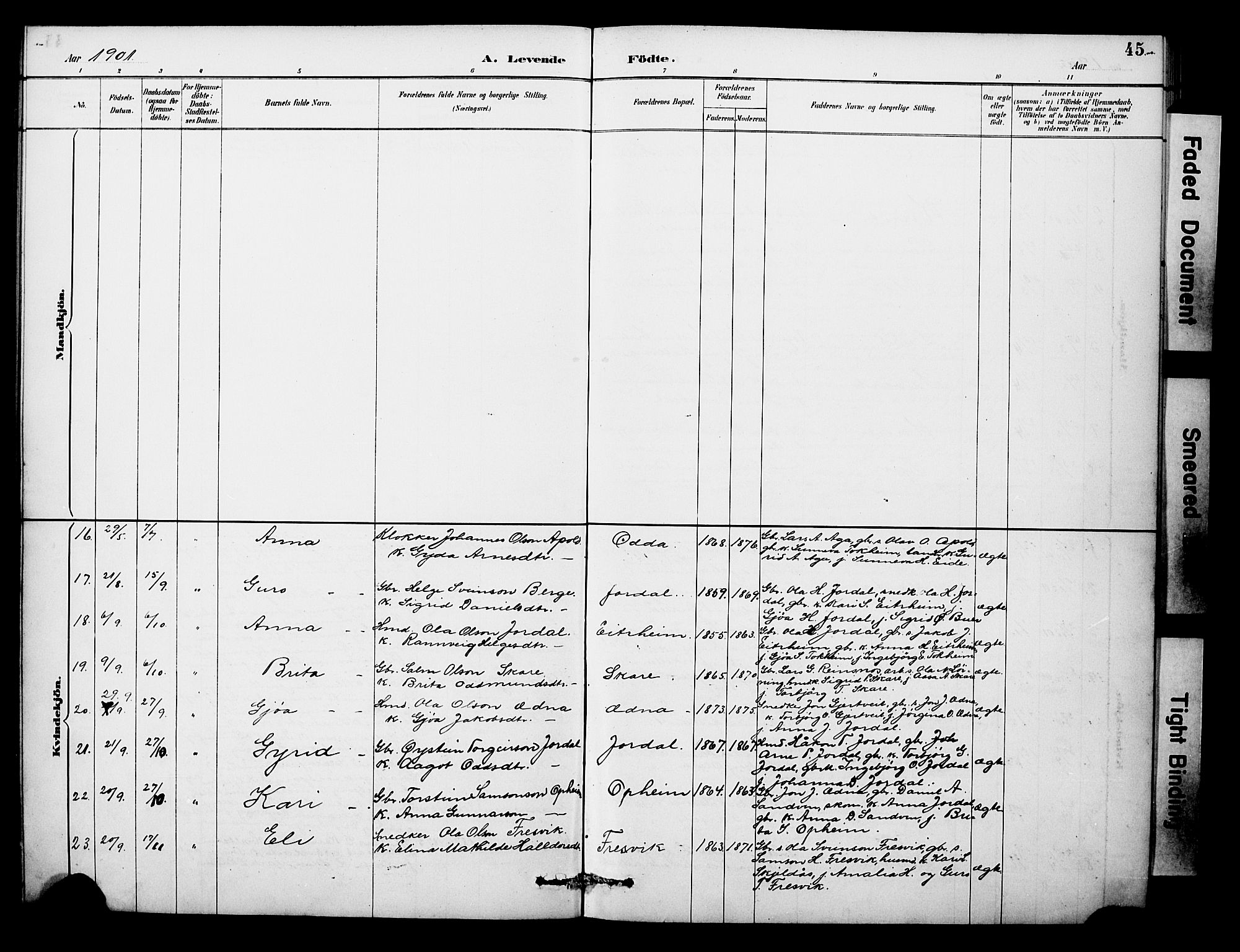 Odda Sokneprestembete, AV/SAB-A-77201/H/Hab: Parish register (copy) no. A 7, 1887-1912, p. 45