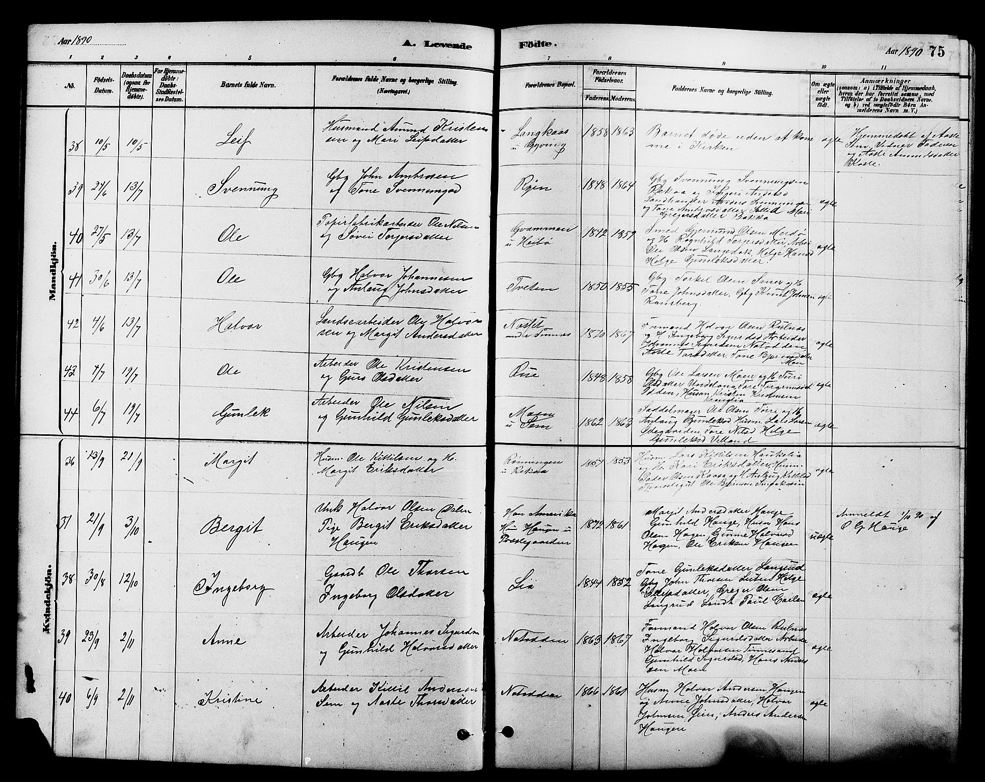 Heddal kirkebøker, AV/SAKO-A-268/G/Ga/L0002: Parish register (copy) no. I 2, 1879-1908, p. 75