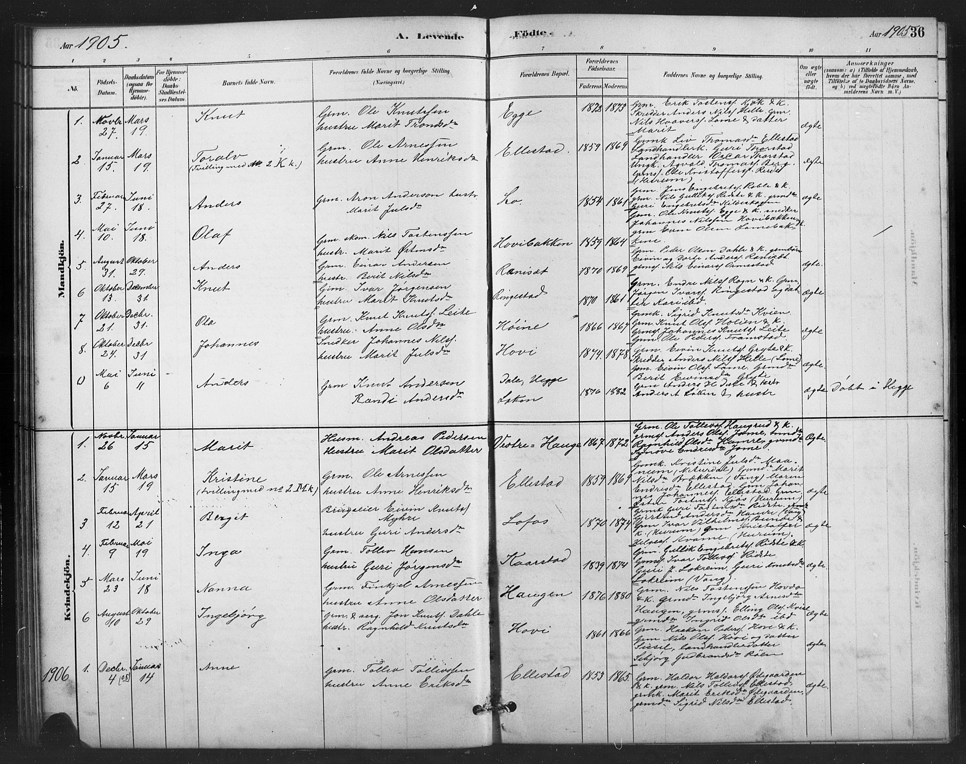 Vestre Slidre prestekontor, SAH/PREST-136/H/Ha/Hab/L0006: Parish register (copy) no. 6, 1881-1915, p. 36