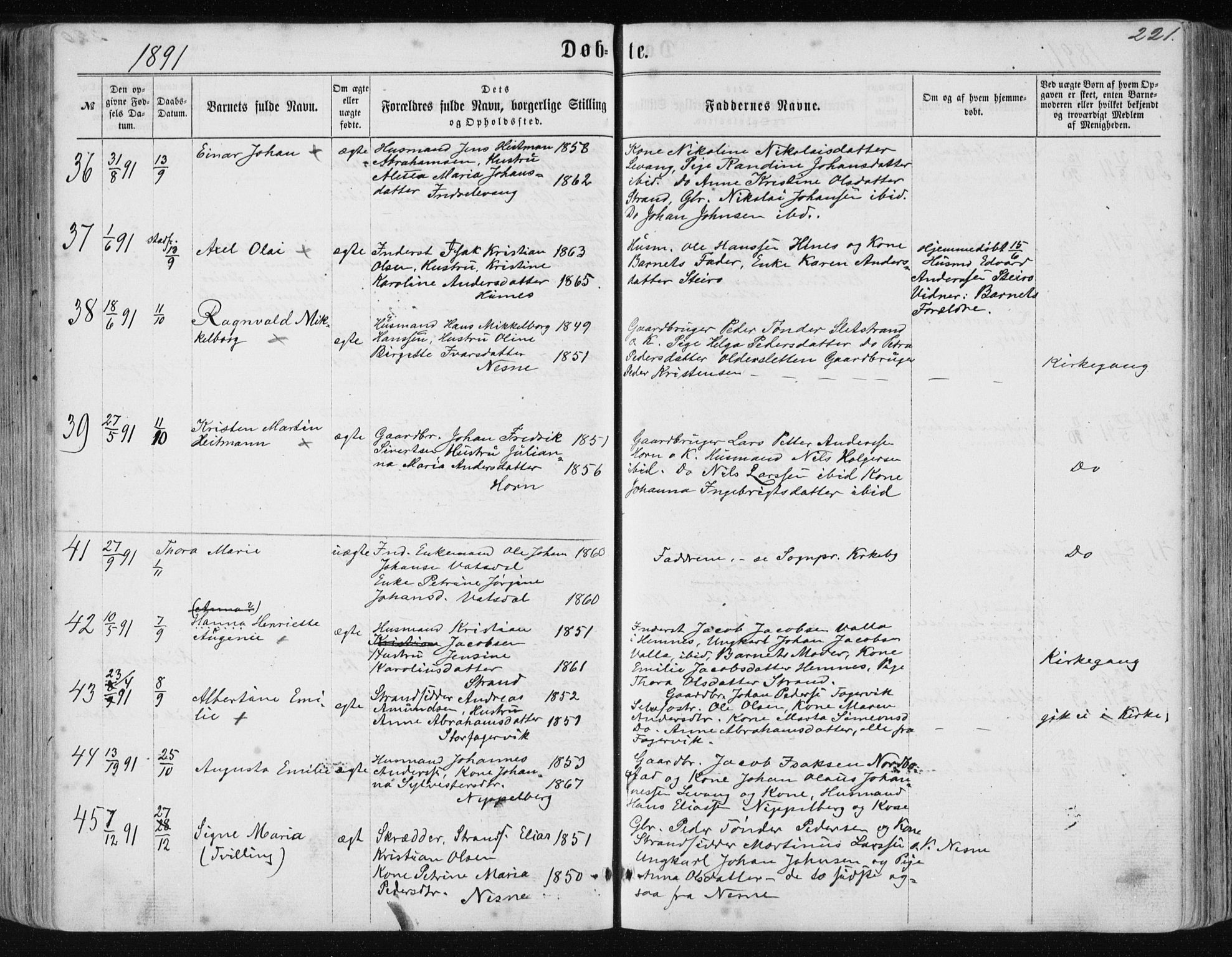 Ministerialprotokoller, klokkerbøker og fødselsregistre - Nordland, AV/SAT-A-1459/838/L0556: Parish register (copy) no. 838C03, 1861-1893, p. 221