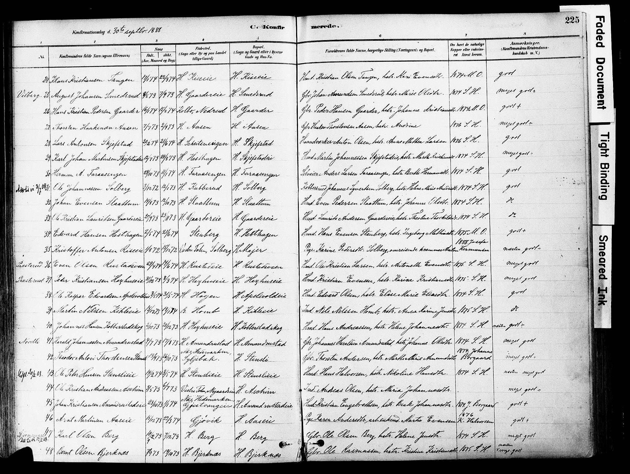 Østre Toten prestekontor, SAH/PREST-104/H/Ha/Haa/L0006: Parish register (official) no. 6 /1, 1878-1896, p. 225