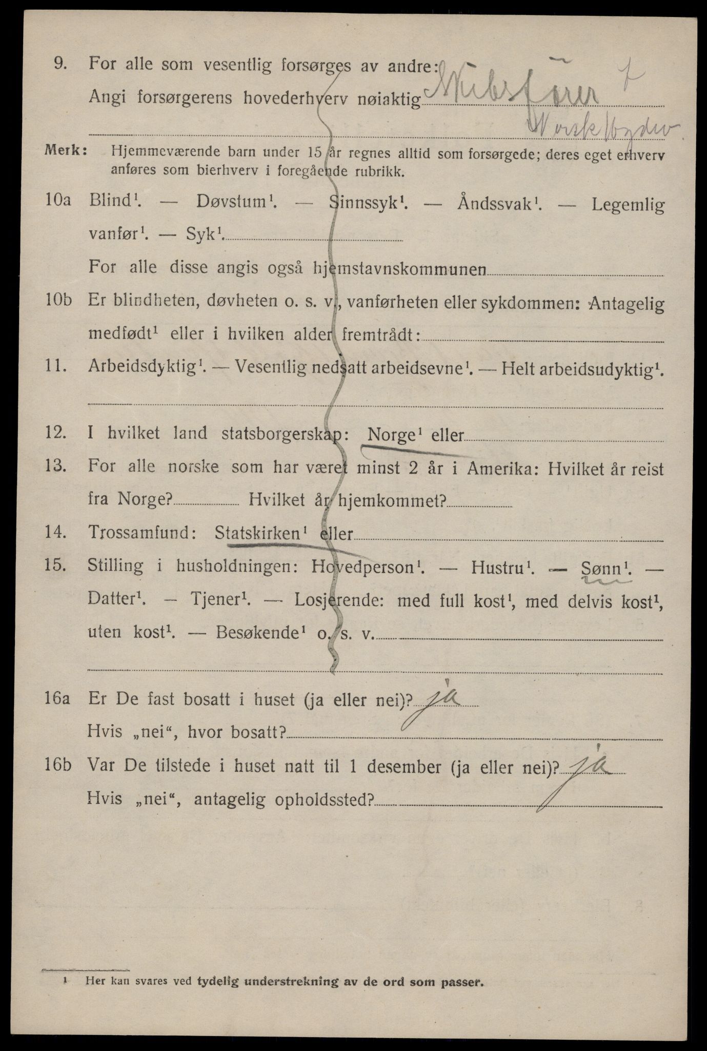 SAKO, 1920 census for Tinn, 1920, p. 8843