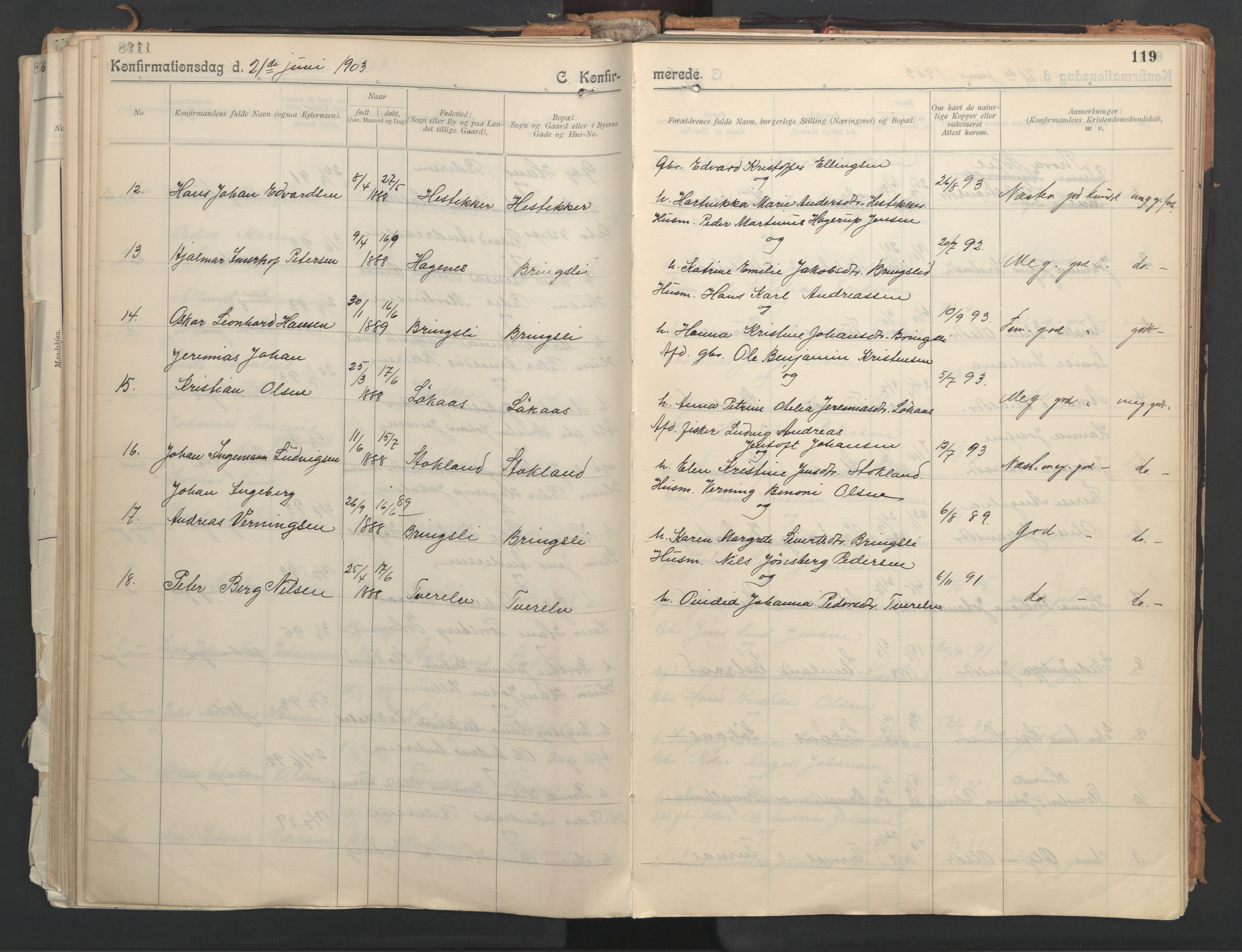 Ministerialprotokoller, klokkerbøker og fødselsregistre - Nordland, AV/SAT-A-1459/851/L0724: Parish register (official) no. 851A01, 1901-1922, p. 119