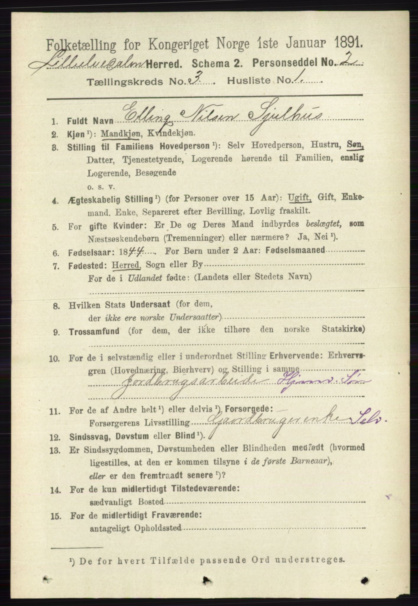 RA, 1891 census for 0438 Lille Elvedalen, 1891, p. 1030