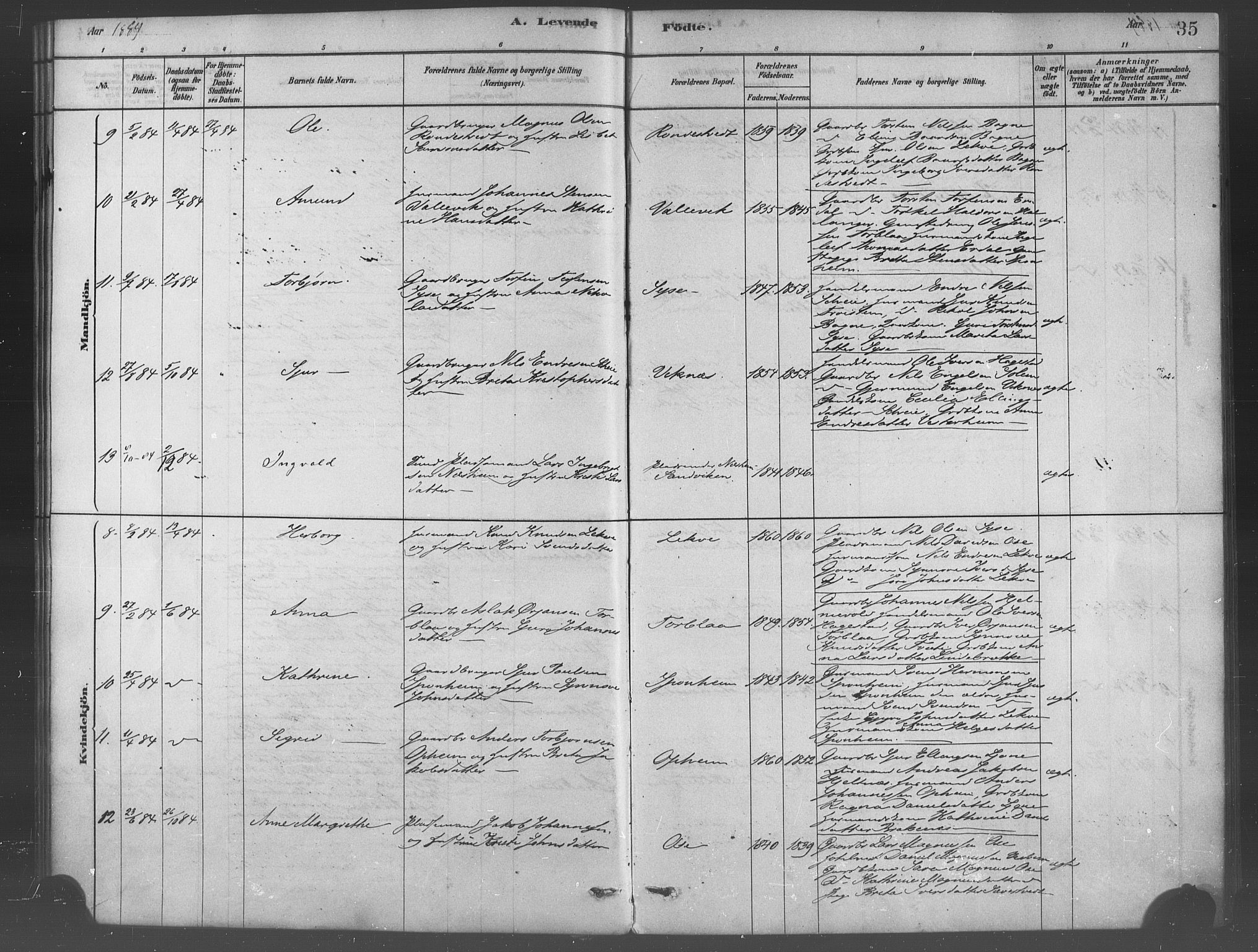 Ulvik sokneprestembete, AV/SAB-A-78801/H/Haa: Parish register (official) no. B 1, 1878-1897, p. 35