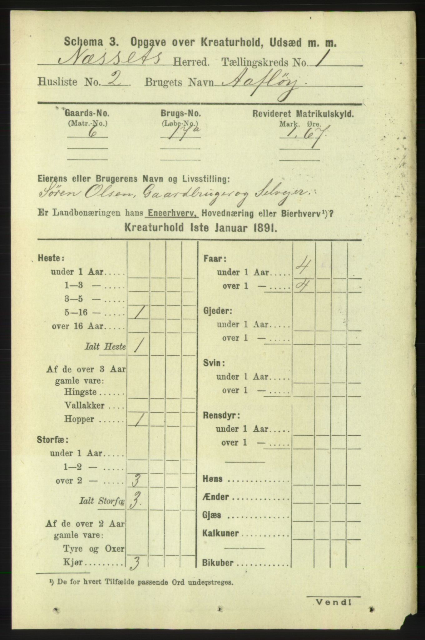 RA, 1891 census for 1543 Nesset, 1891, p. 2071