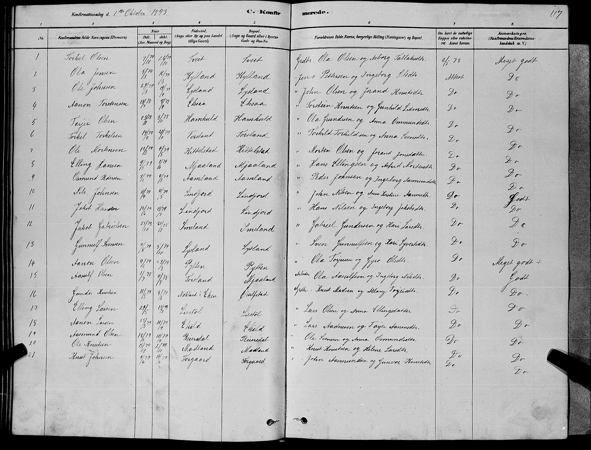 Åseral sokneprestkontor, AV/SAK-1111-0051/F/Fb/L0002: Parish register (copy) no. B 2, 1878-1899, p. 117