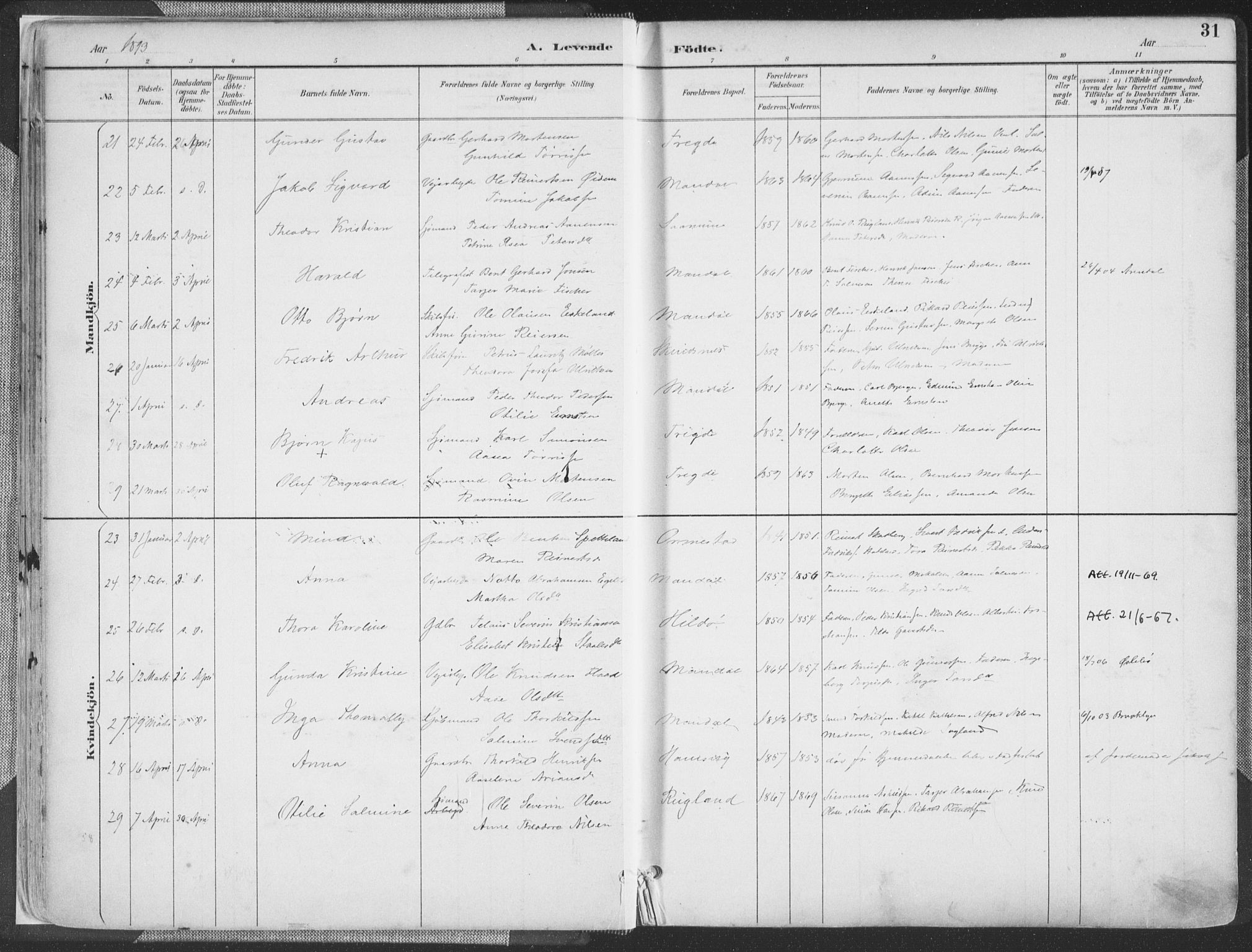 Mandal sokneprestkontor, AV/SAK-1111-0030/F/Fa/Faa/L0018: Parish register (official) no. A 18, 1890-1905, p. 31