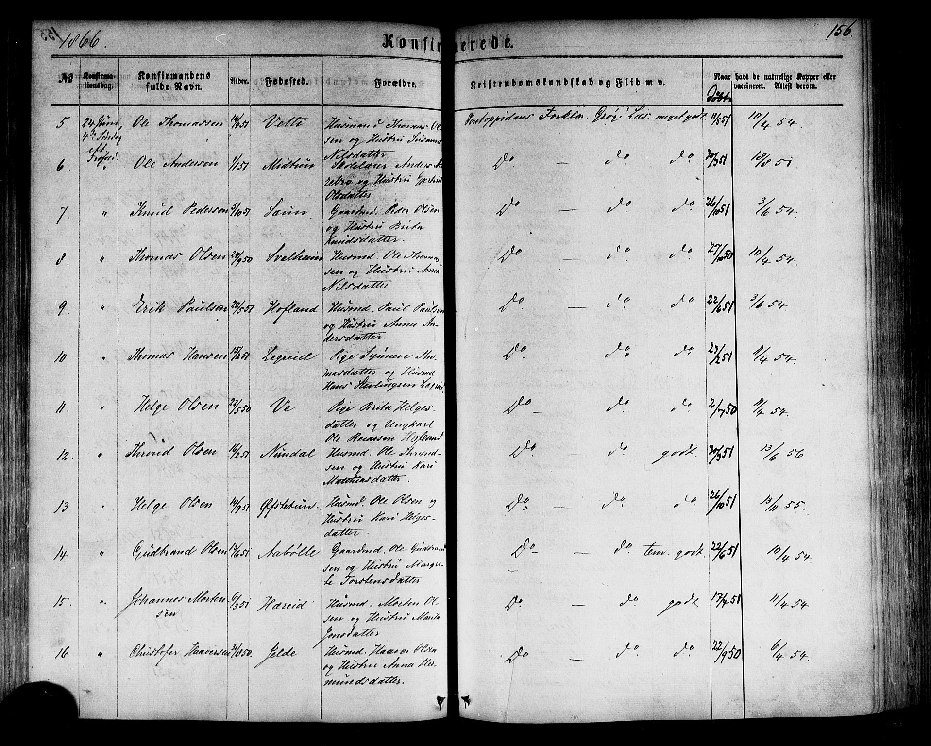 Årdal sokneprestembete, AV/SAB-A-81701: Parish register (official) no. A 3, 1863-1886, p. 156