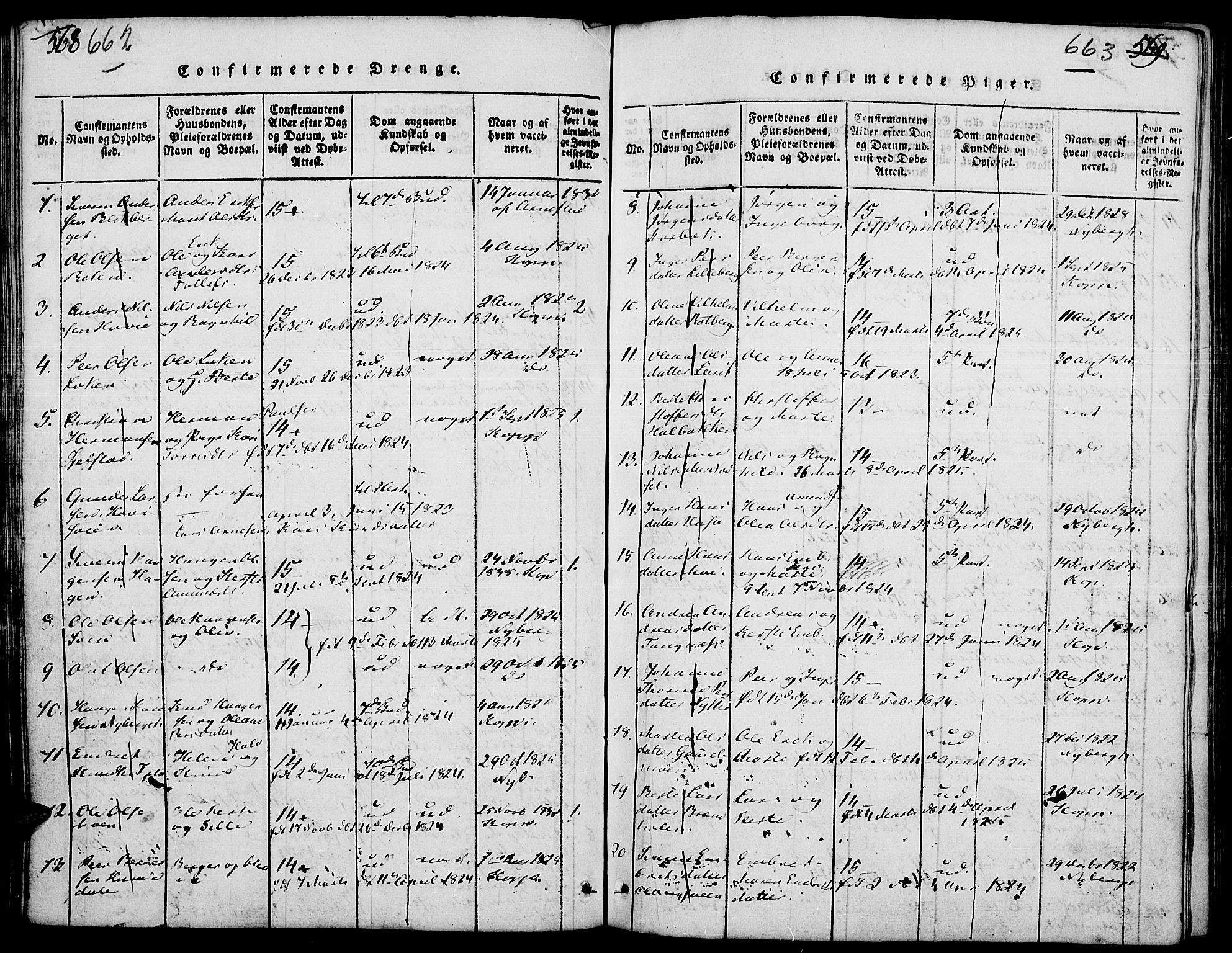 Elverum prestekontor, AV/SAH-PREST-044/H/Ha/Hab/L0001: Parish register (copy) no. 1, 1815-1829, p. 662-663