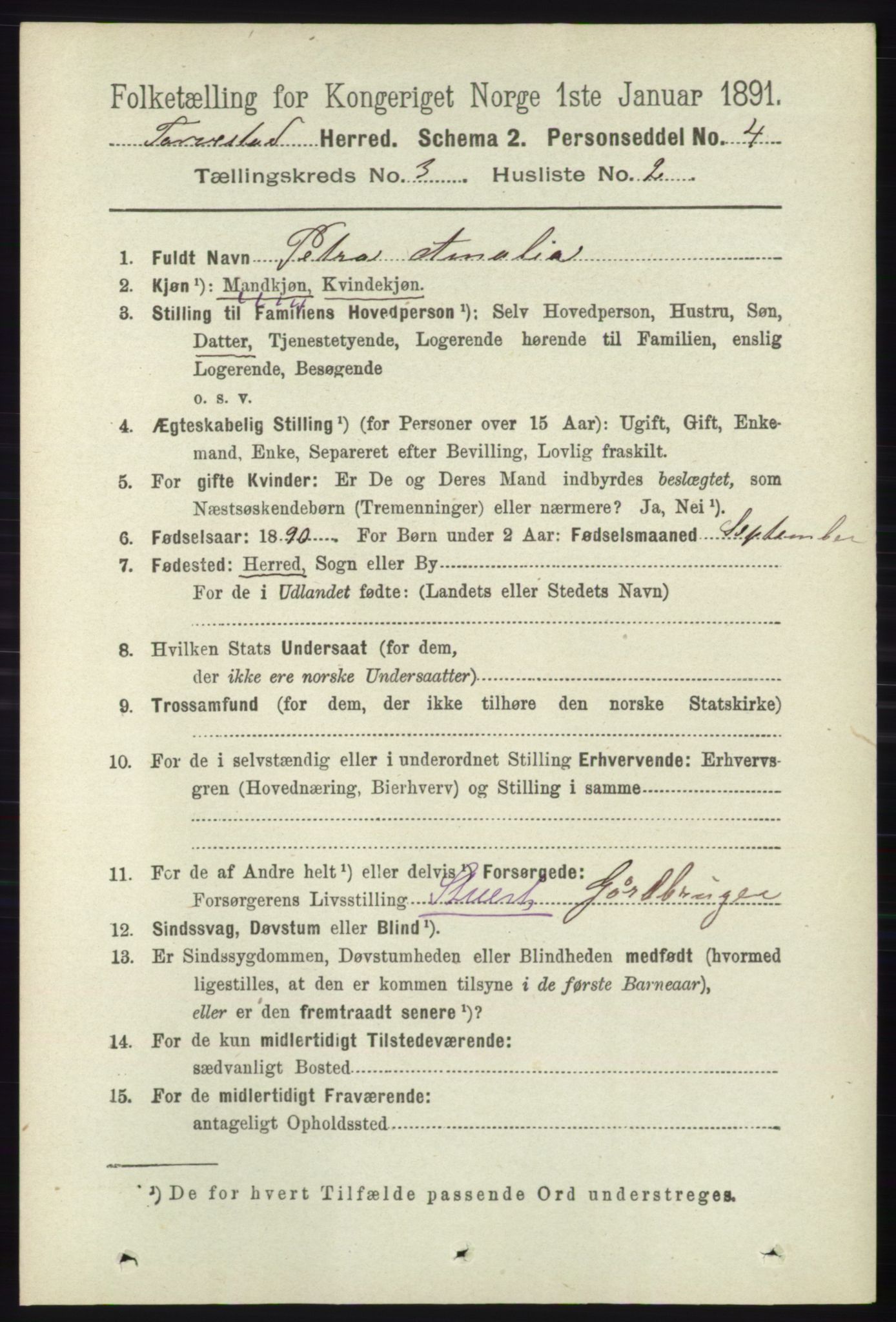 RA, 1891 census for 1152 Torvastad, 1891, p. 958