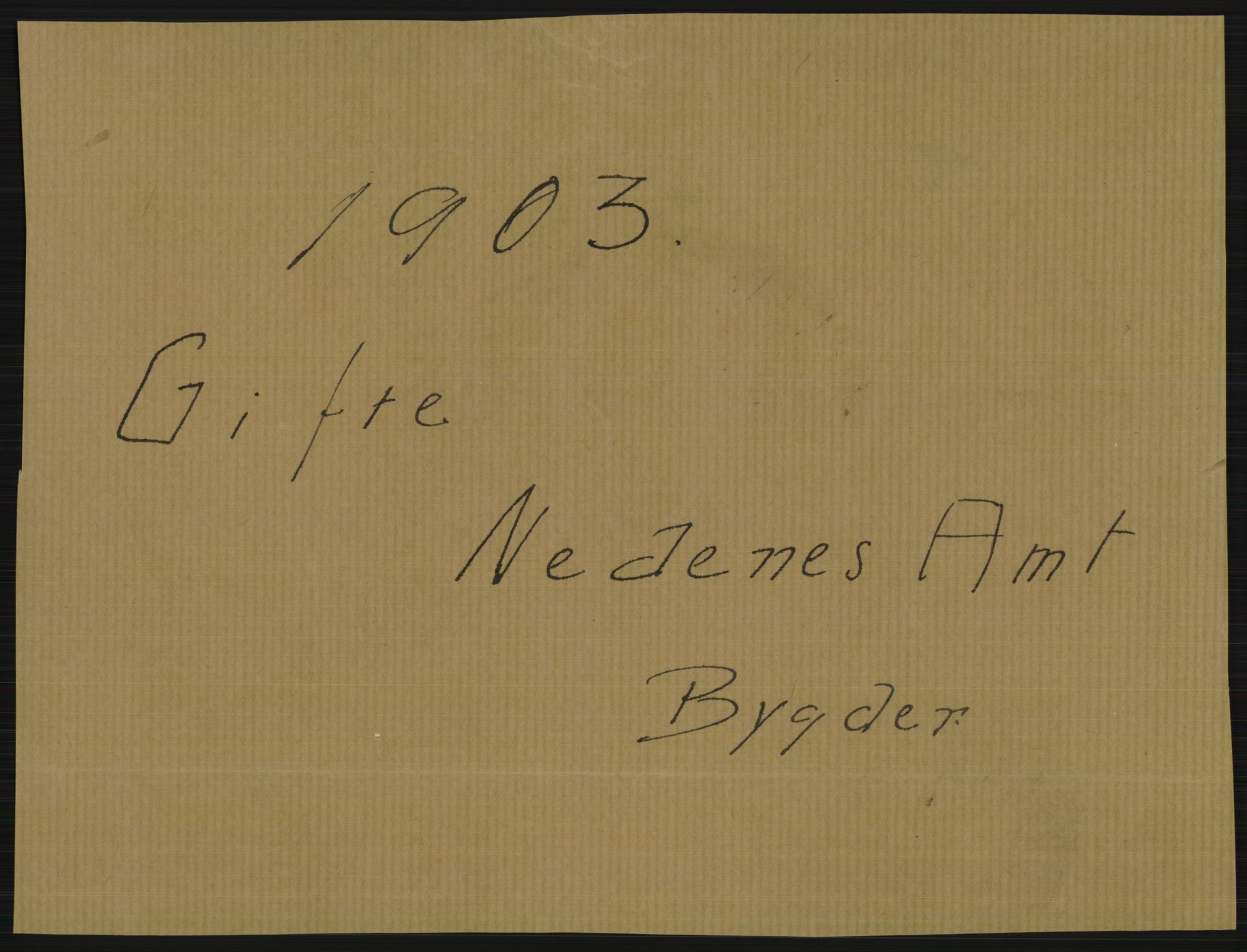 Statistisk sentralbyrå, Sosiodemografiske emner, Befolkning, AV/RA-S-2228/D/Df/Dfa/Dfaa/L0010: Nedenes amt: Fødte, gifte, døde, 1903, p. 257