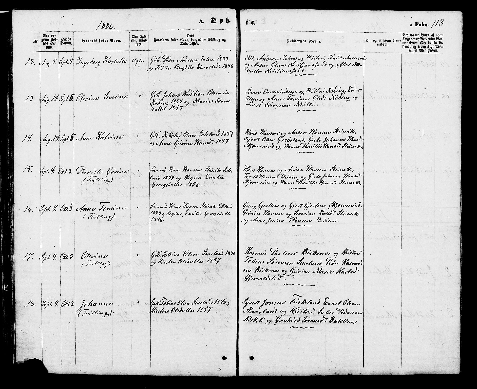 Holum sokneprestkontor, AV/SAK-1111-0022/F/Fb/Fba/L0004: Parish register (copy) no. B 4, 1867-1890, p. 113