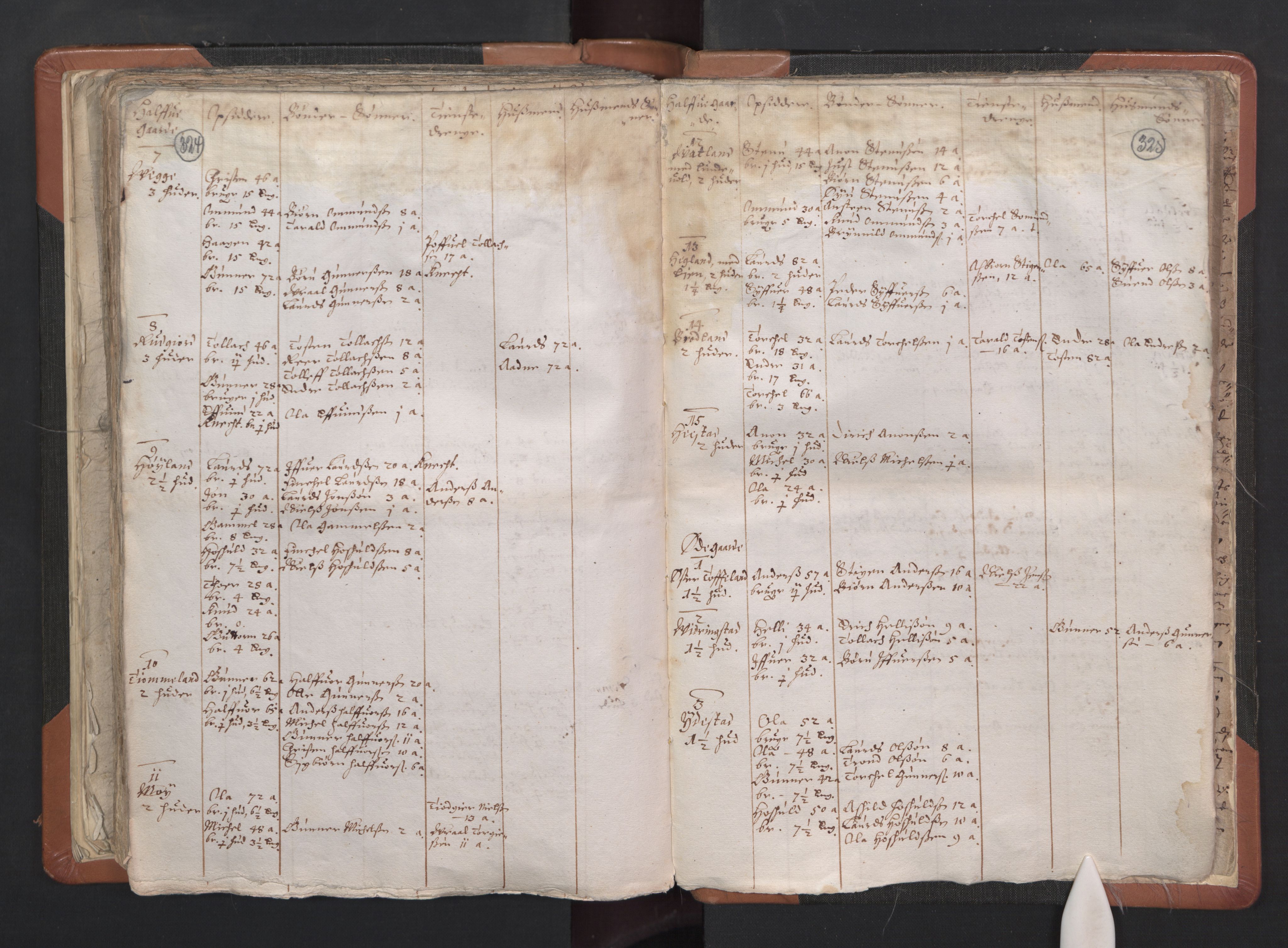 RA, Vicar's Census 1664-1666, no. 16: Lista deanery, 1664-1666, p. 324-325