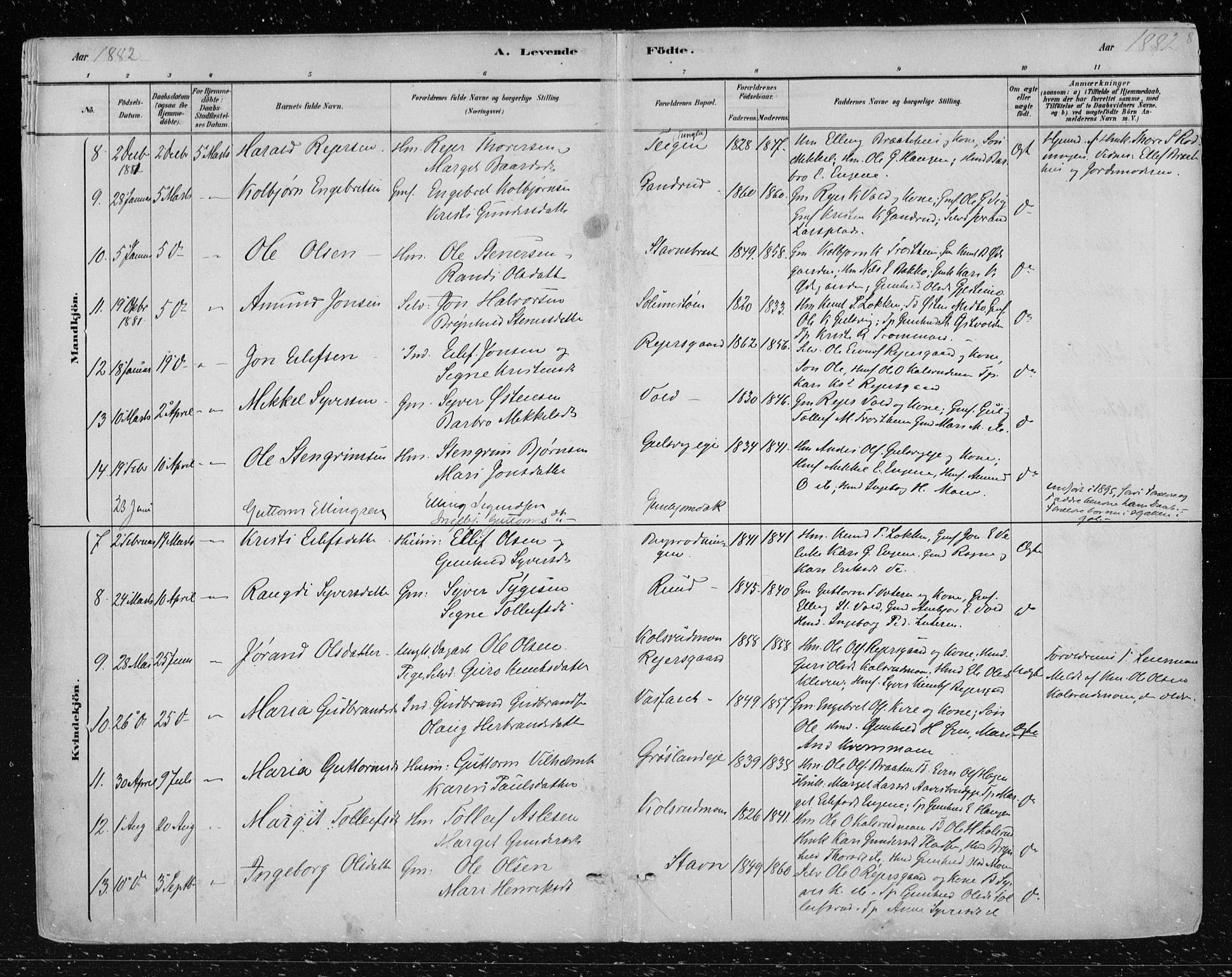 Nes kirkebøker, SAKO/A-236/F/Fa/L0012: Parish register (official) no. 12, 1881-1917, p. 8