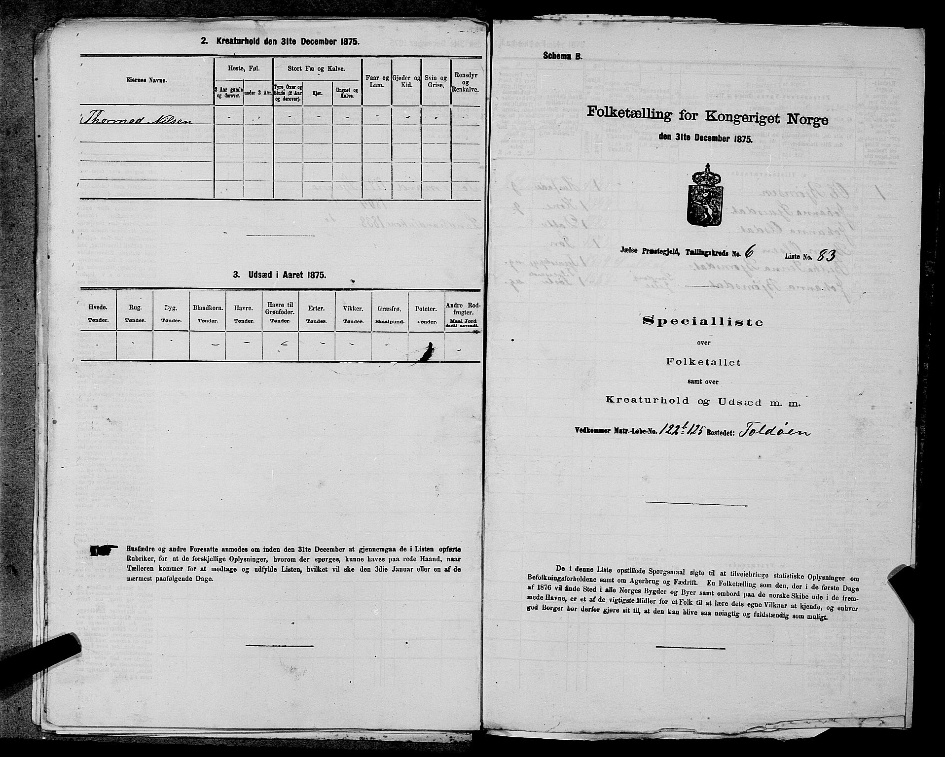 SAST, 1875 census for 1138P Jelsa, 1875, p. 581