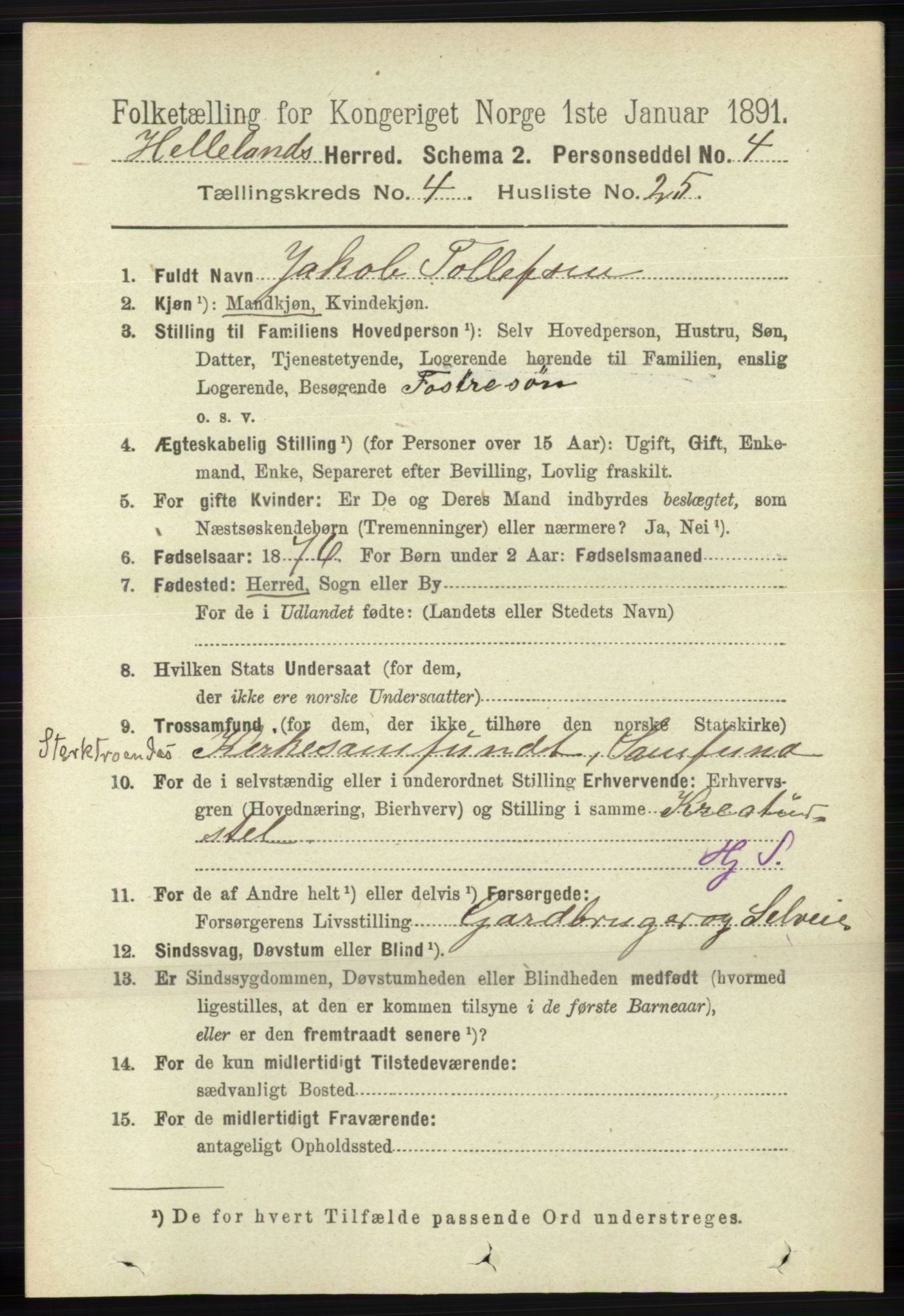 RA, 1891 census for 1115 Helleland, 1891, p. 1313