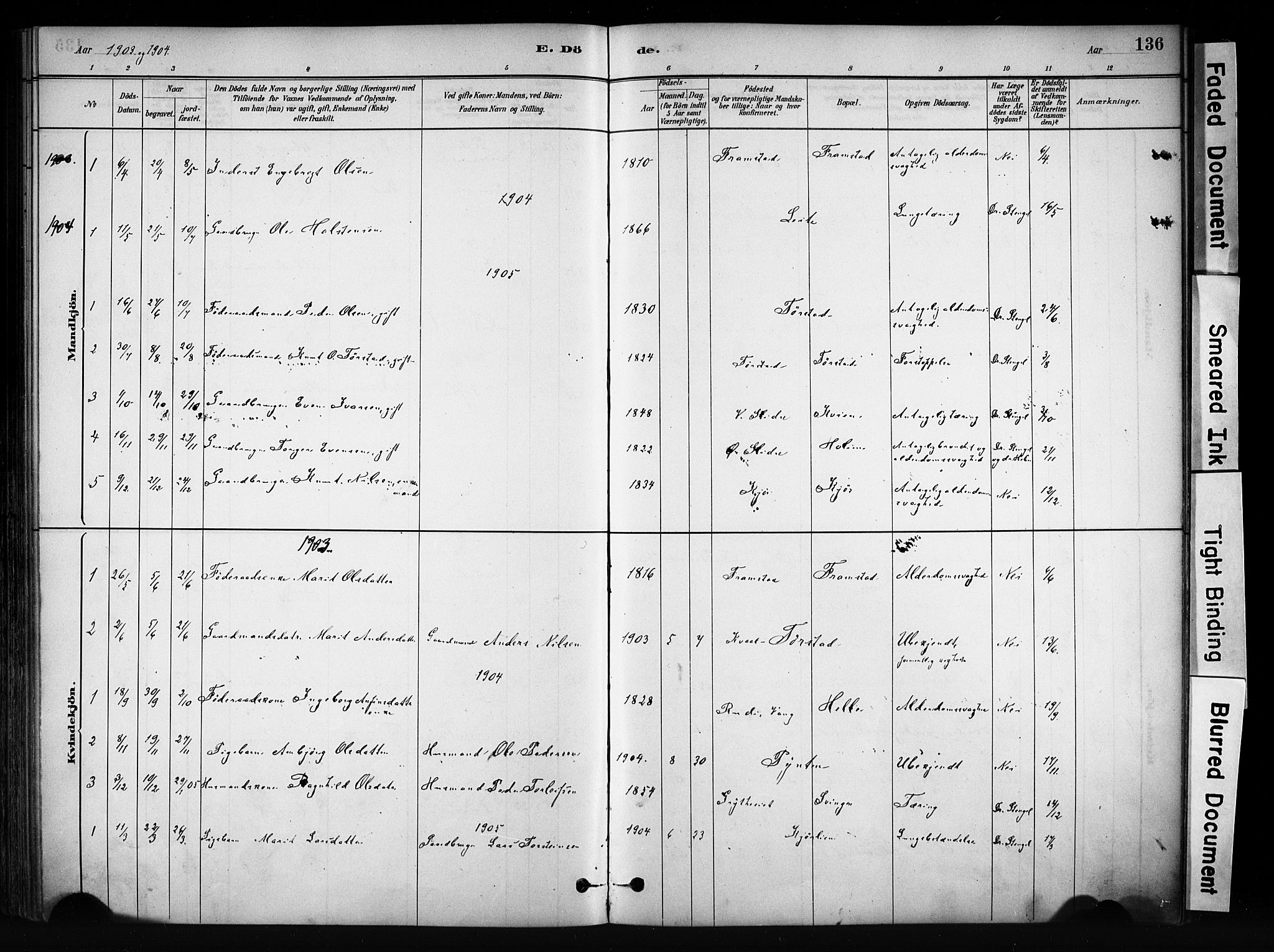 Vang prestekontor, Valdres, AV/SAH-PREST-140/H/Ha/L0009: Parish register (official) no. 9, 1882-1914, p. 136