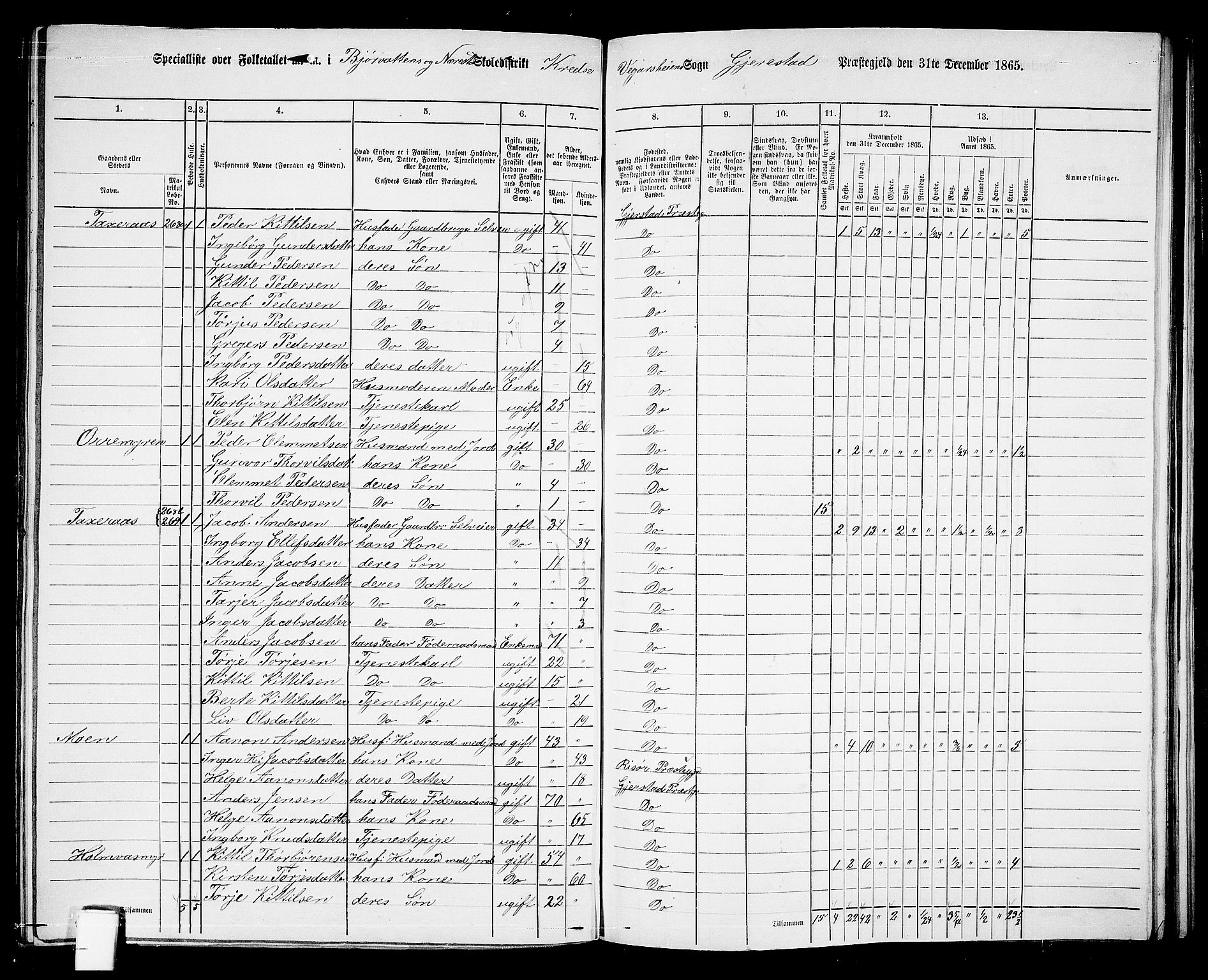 RA, 1865 census for Gjerstad, 1865, p. 161