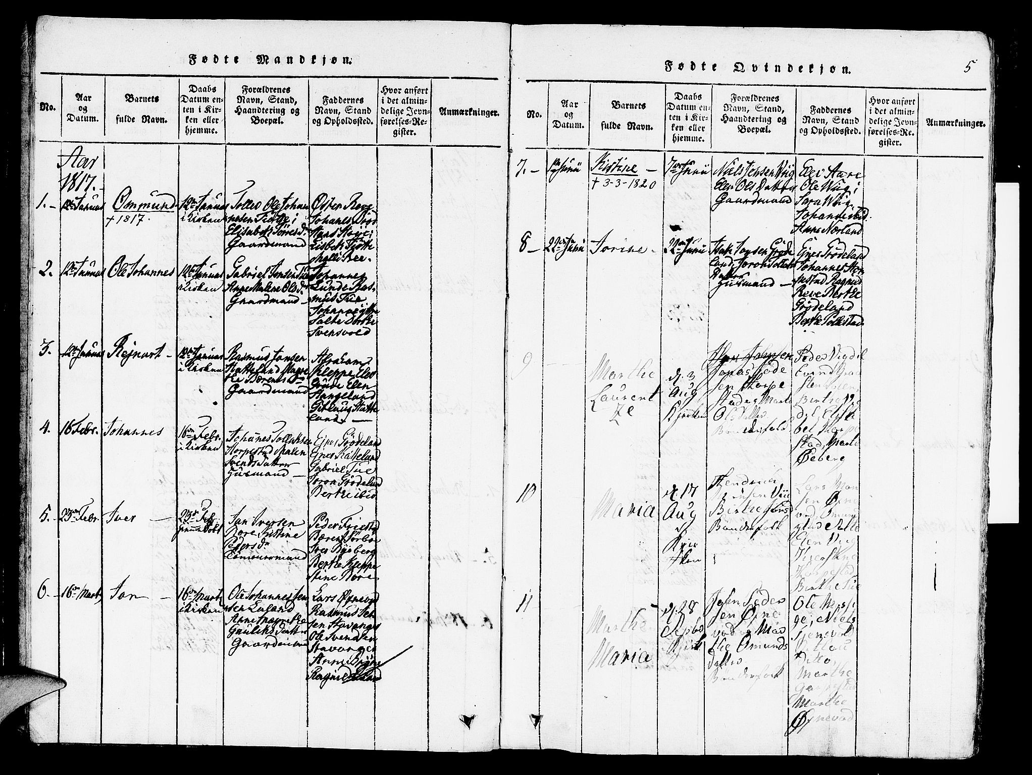 Klepp sokneprestkontor, SAST/A-101803/001/3/30BA/L0002: Parish register (official) no. A 2, 1816-1833, p. 5