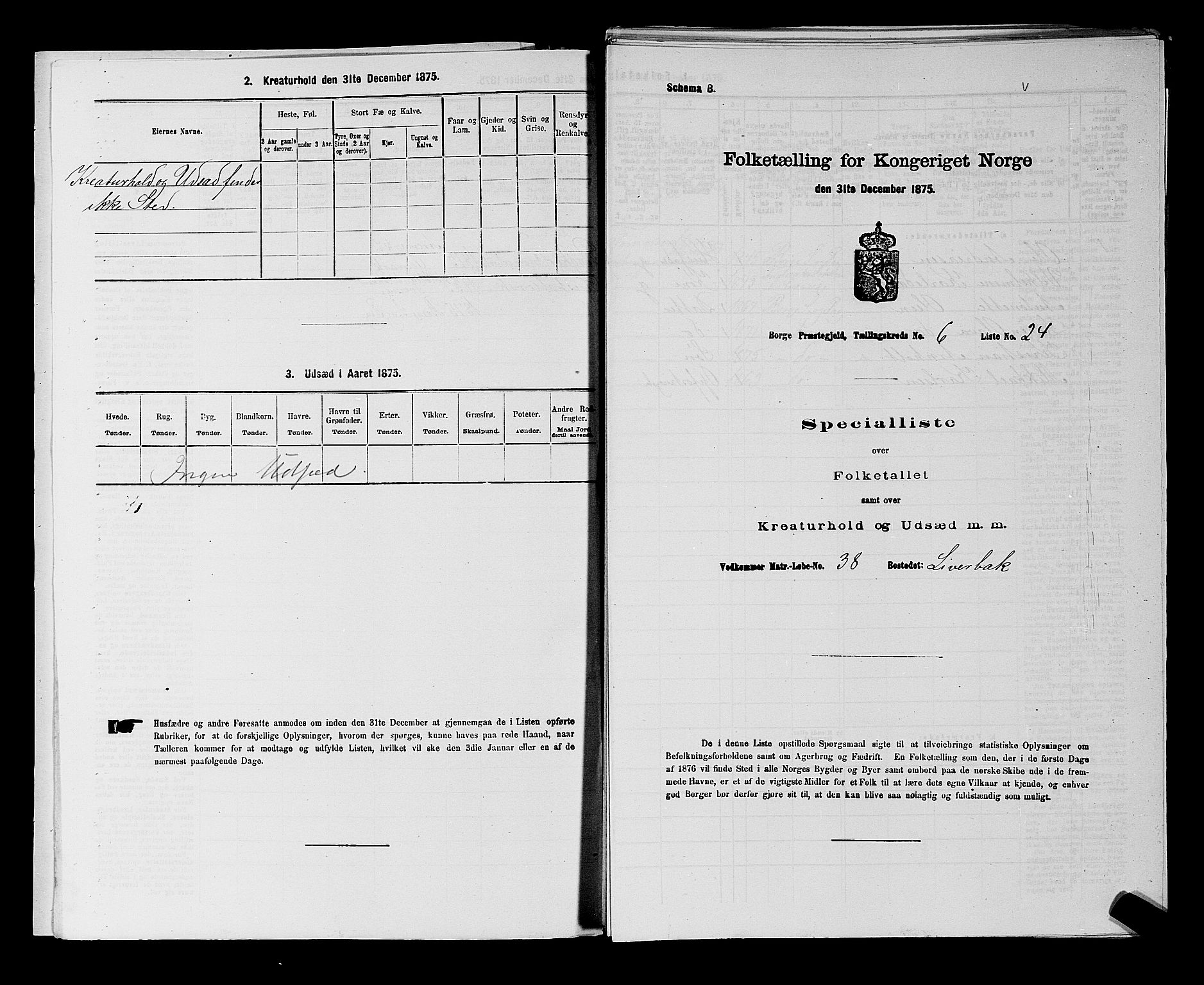 RA, 1875 census for 0113P Borge, 1875, p. 827