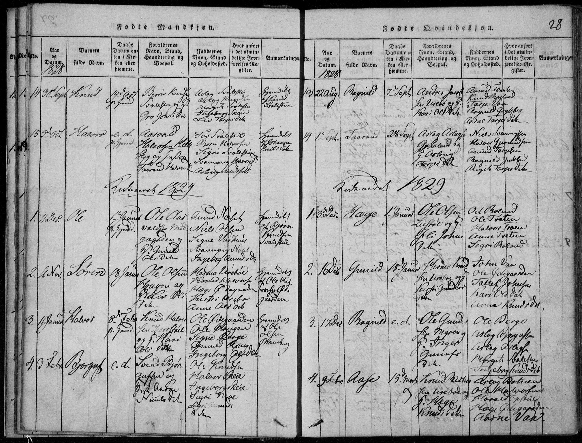 Rauland kirkebøker, AV/SAKO-A-292/F/Fa/L0001: Parish register (official) no. I 1, 1814-1859, p. 28